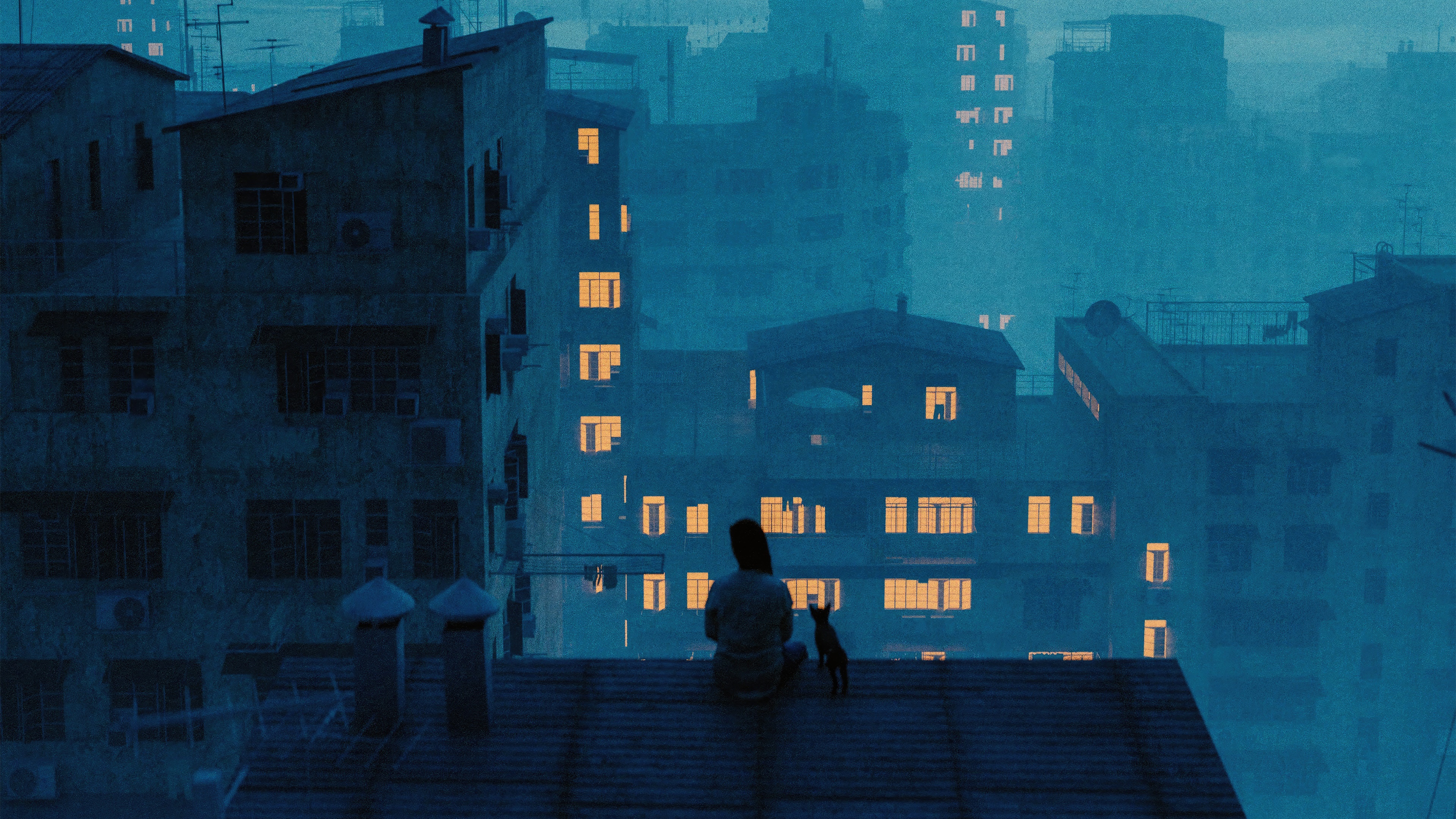Girl and cat on rooftop in city at night HD Wallpaper