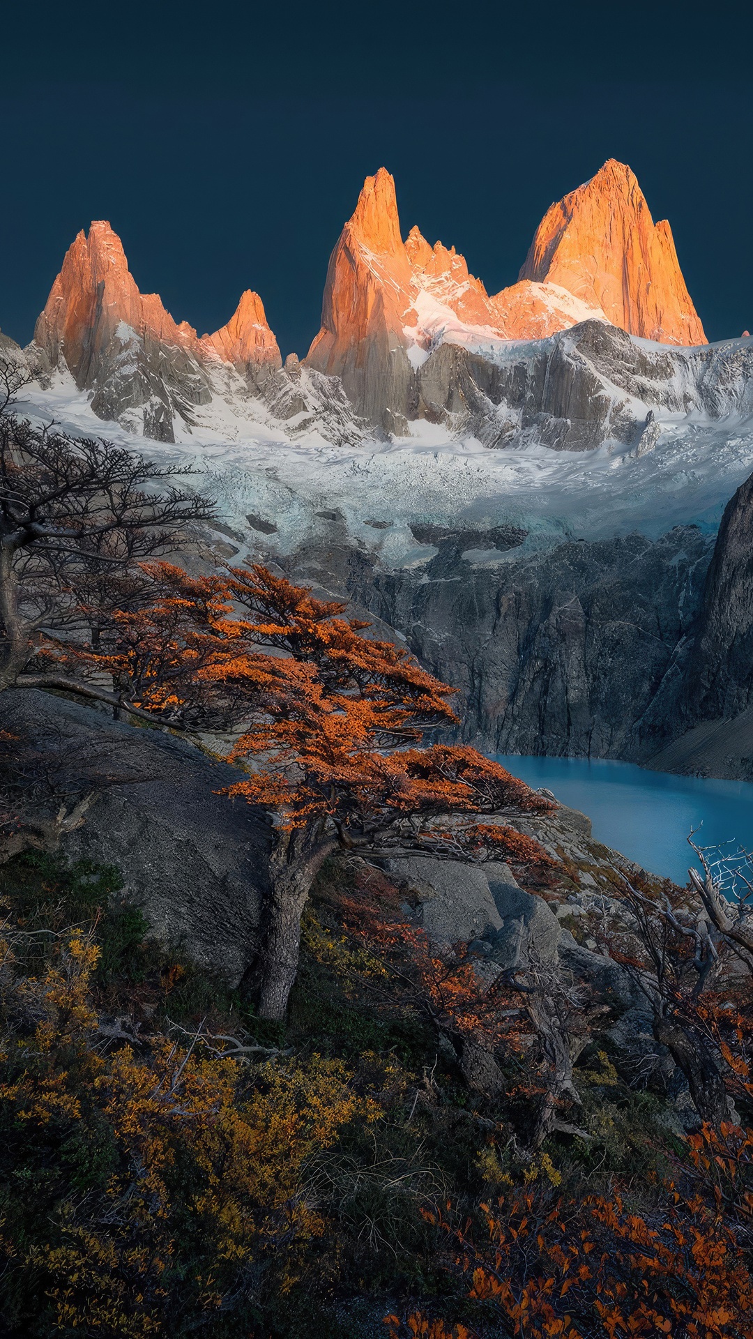 Fitz Roy Mountains at sunrise with autumn trees HD Phone Wallpaper