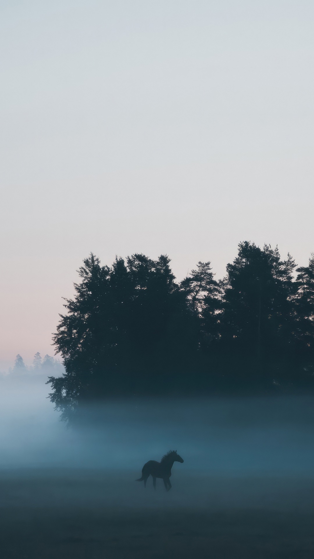 A horse stands in the fog near a forest HD Phone Wallpaper
