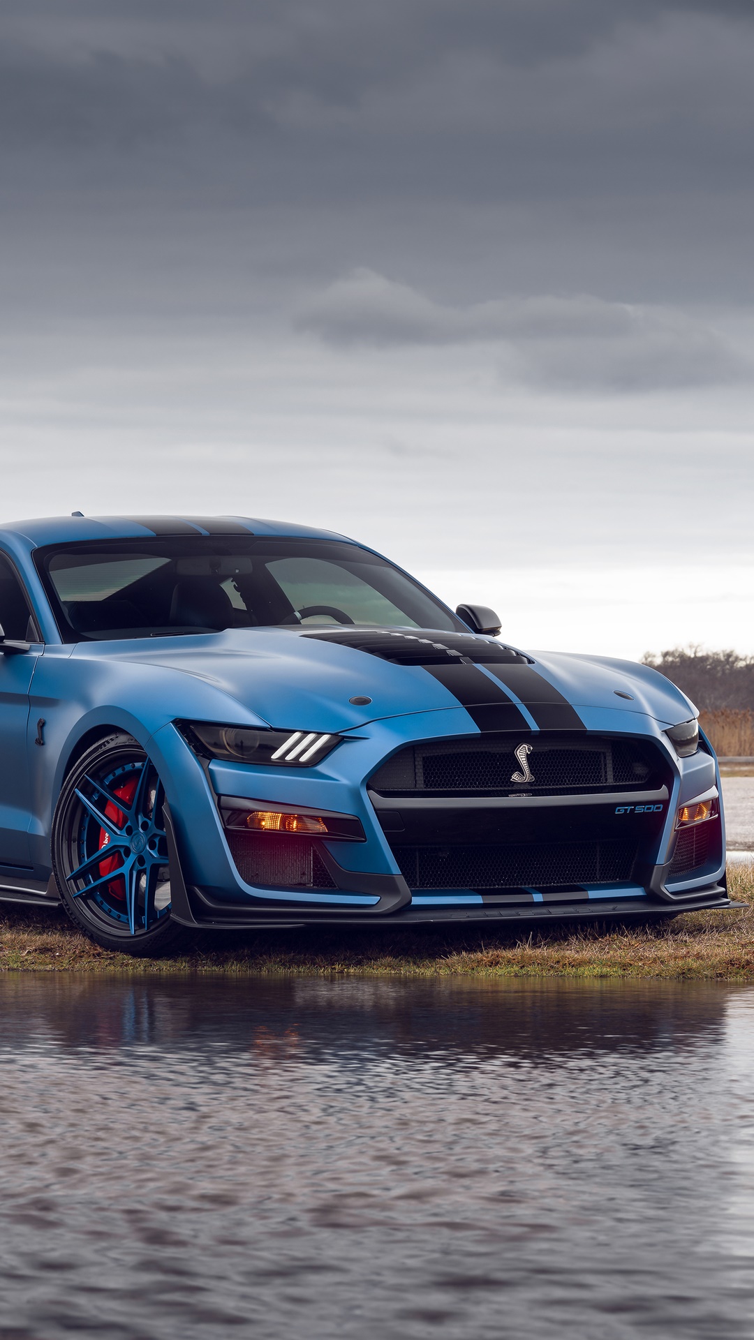 Blue Ford Mustang Shelby GT500 with Black Stripes HD Phone Wallpaper