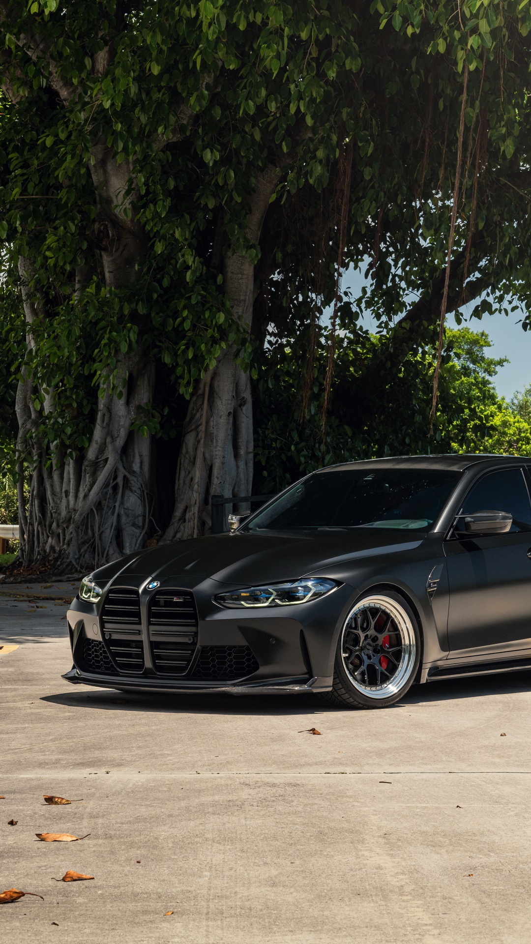 Matte Black BMW M3 parked near a large tree HD Phone Wallpaper