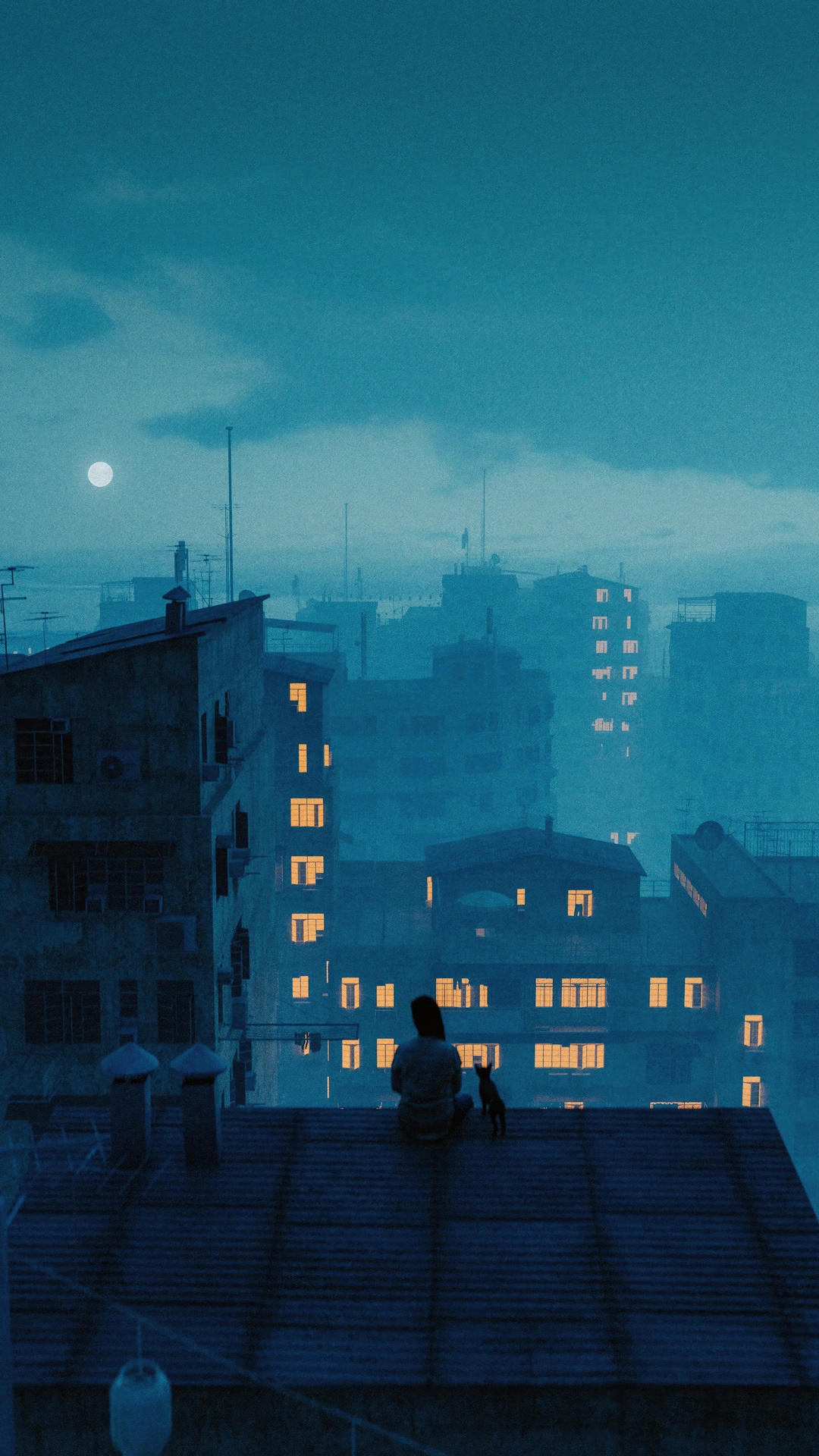Person and cat on a rooftop at night HD Phone Wallpaper