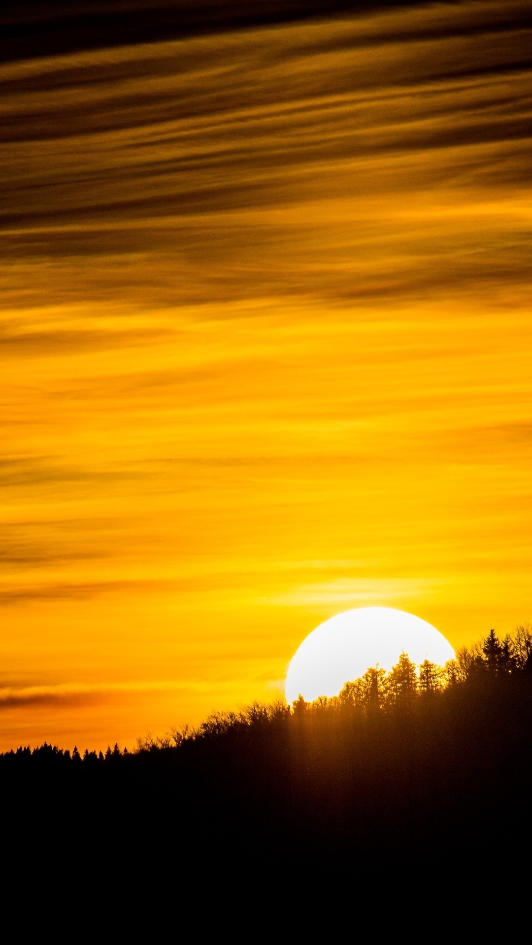 Sunset over a forest silhouette HD Phone Wallpaper