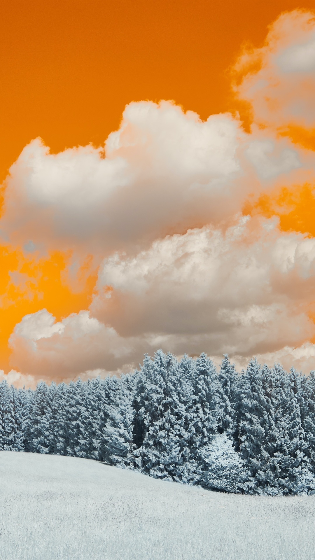 Winter forest with snow and orange clouds HD Phone Wallpaper