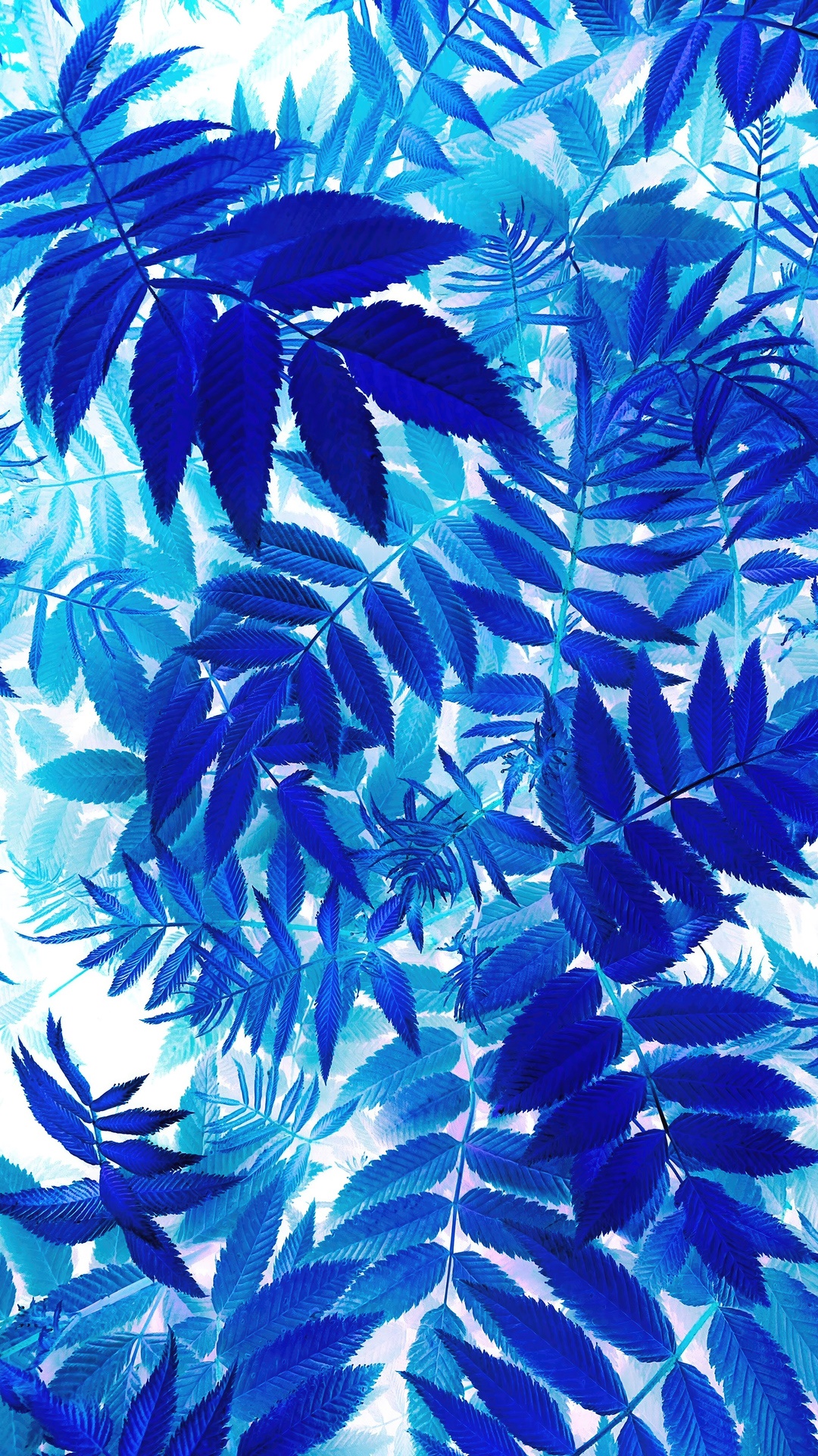 Blue leaves pattern HD Phone Wallpaper