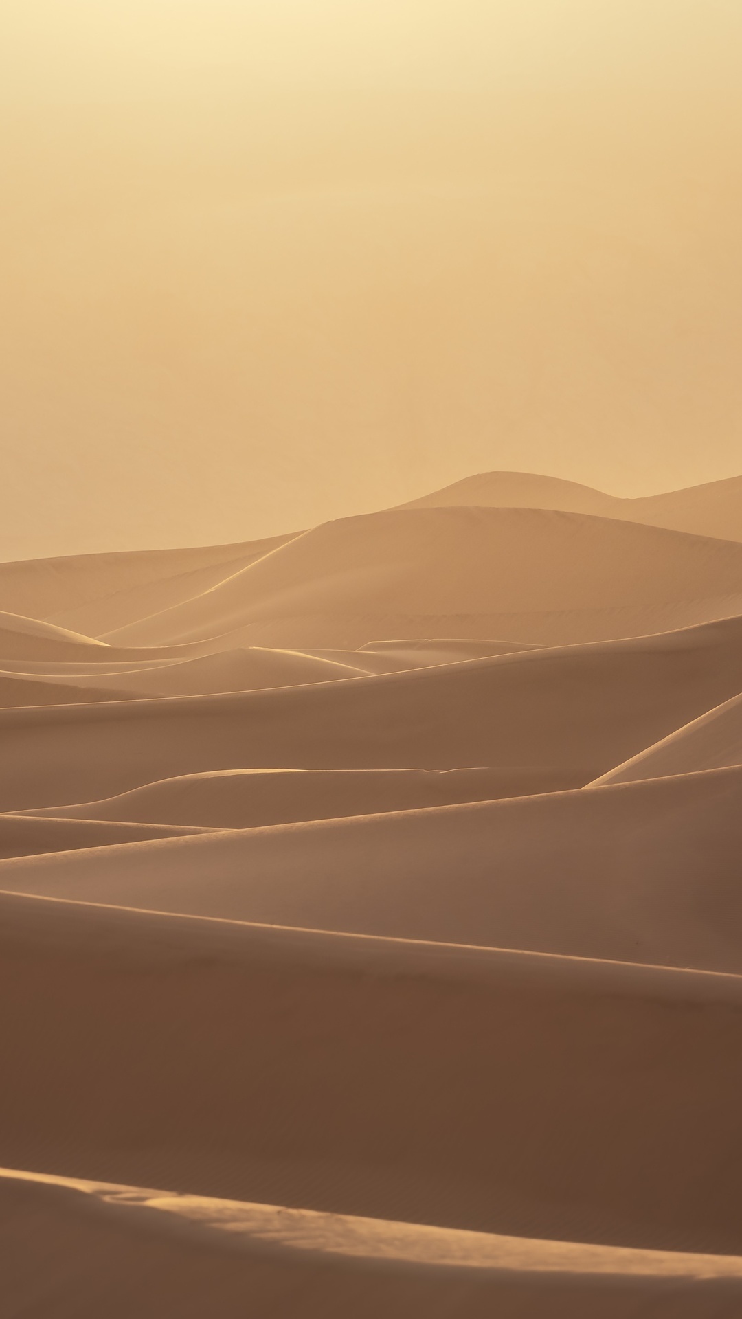 Golden desert sand dunes at sunset HD Phone Wallpaper