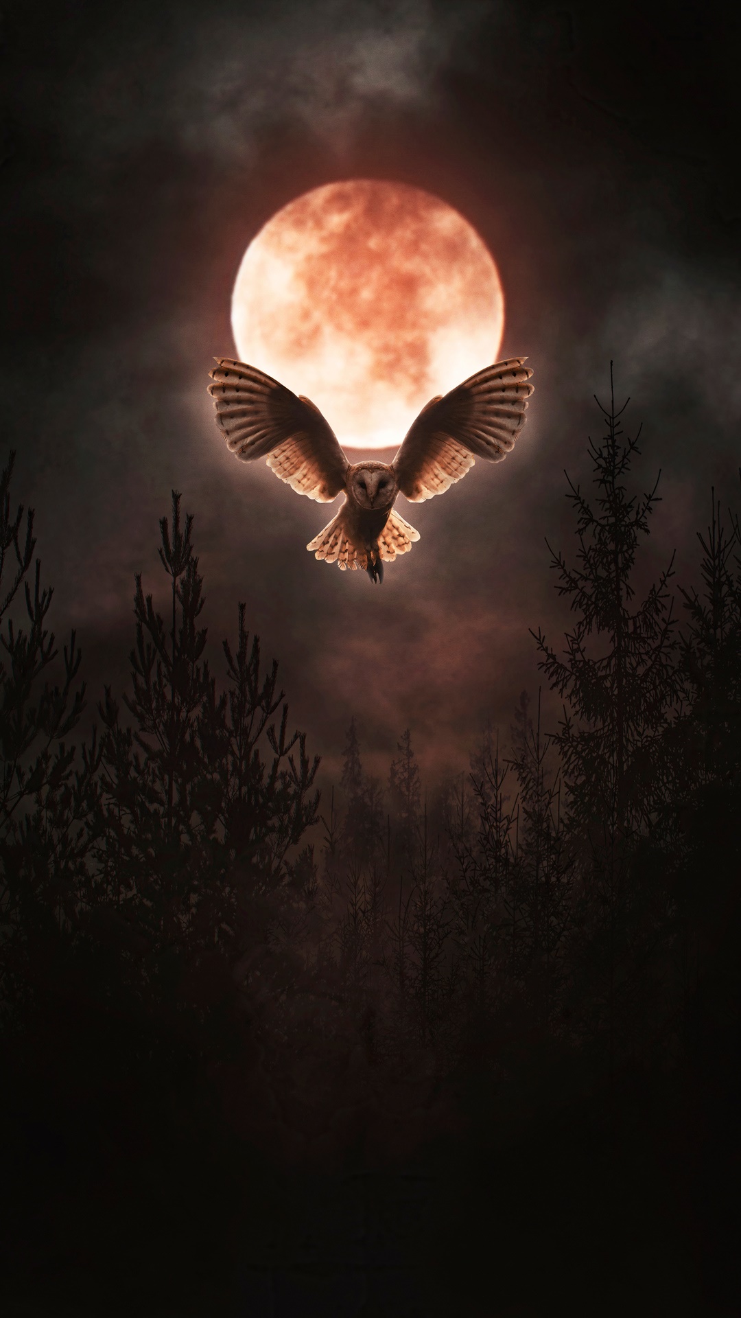 Barn owl flying in front of a blood moon HD Phone Wallpaper