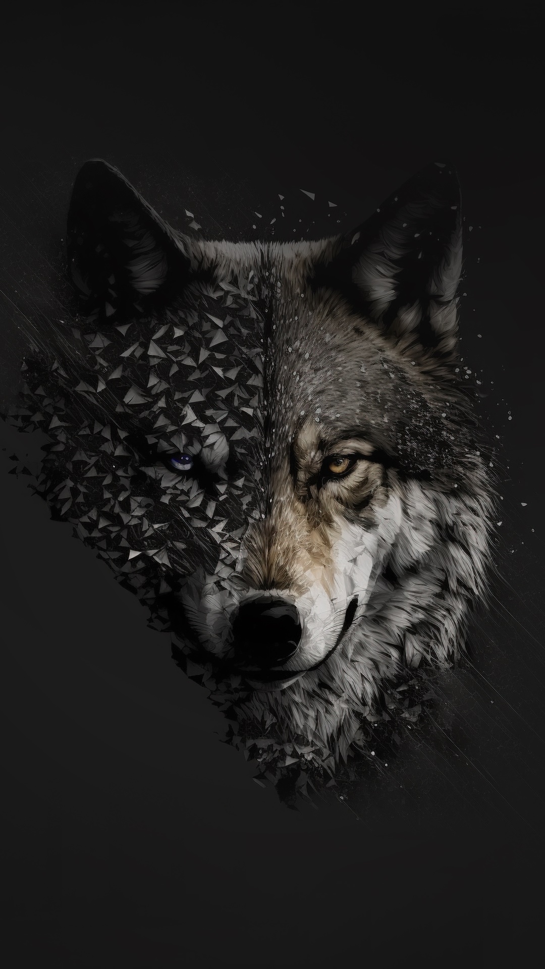 Minimalist digital art of a wolf dissolving into geometric shapes HD Phone Wallpaper