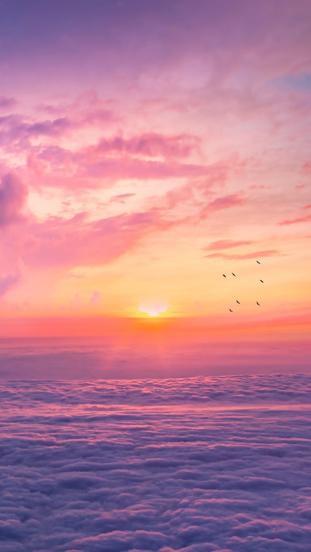 Sunset over a sea of clouds with birds flying HD Phone Wallpaper