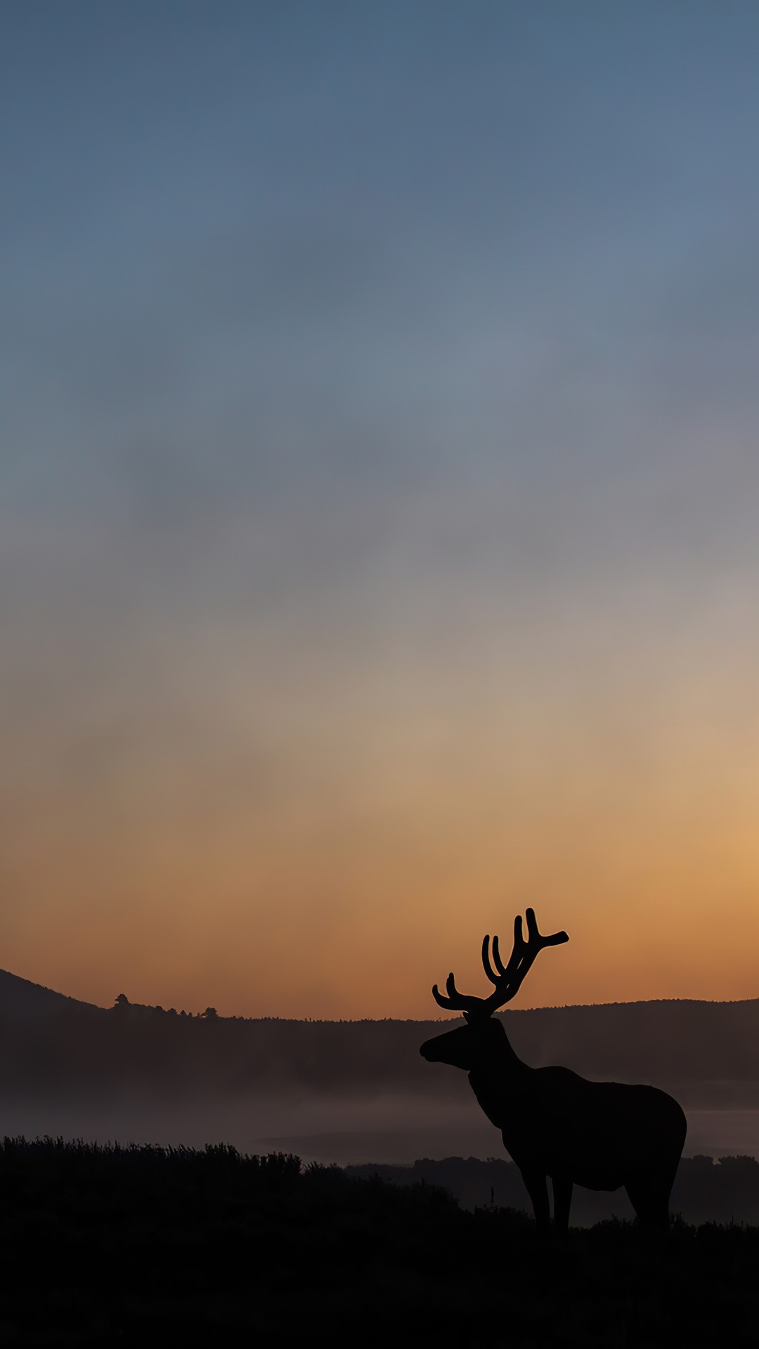 Silhouette of an elk at sunrise HD Phone Wallpaper