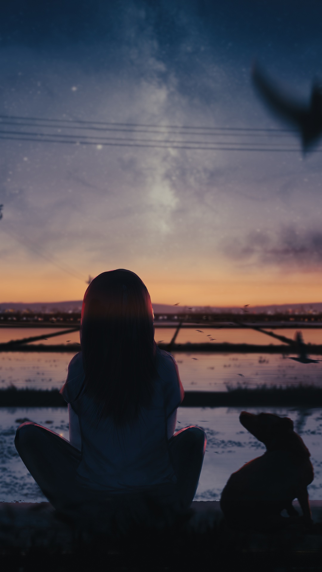 Anime girl and dog watching the sunset over rice fields HD Phone Wallpaper