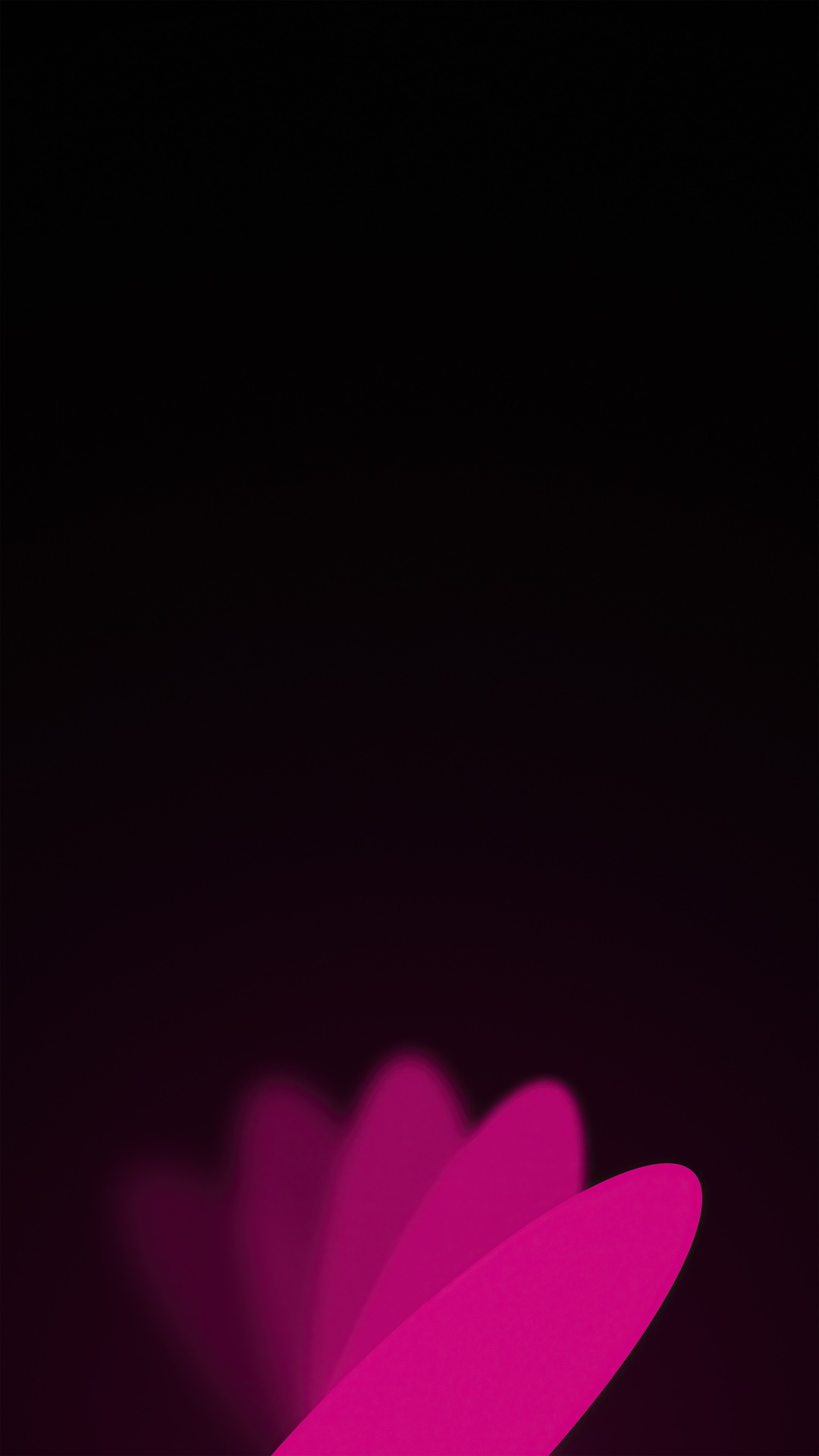 Abstract pink flower petals on black background HD Phone Wallpaper