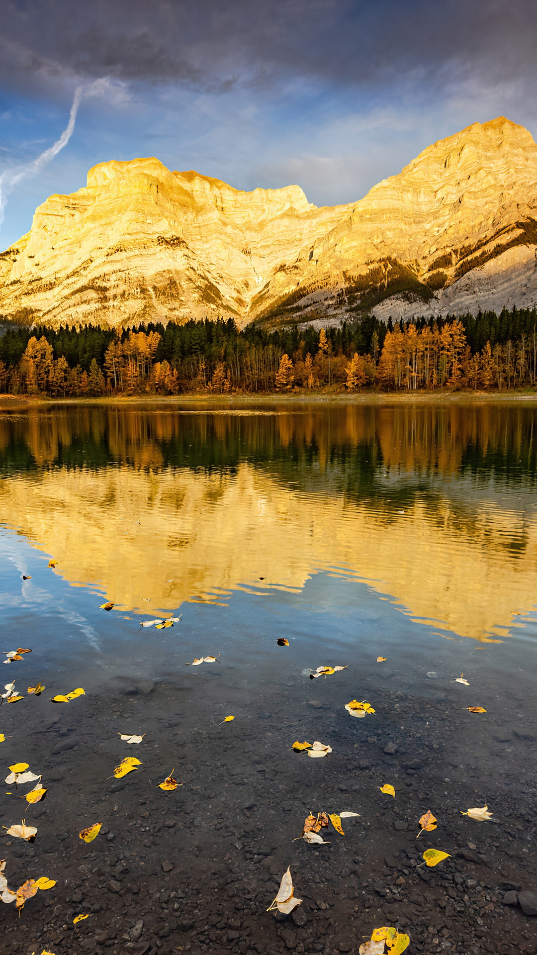 Golden Mountains Reflecting in a Lake with Autumn Leaves HD Phone Wallpaper