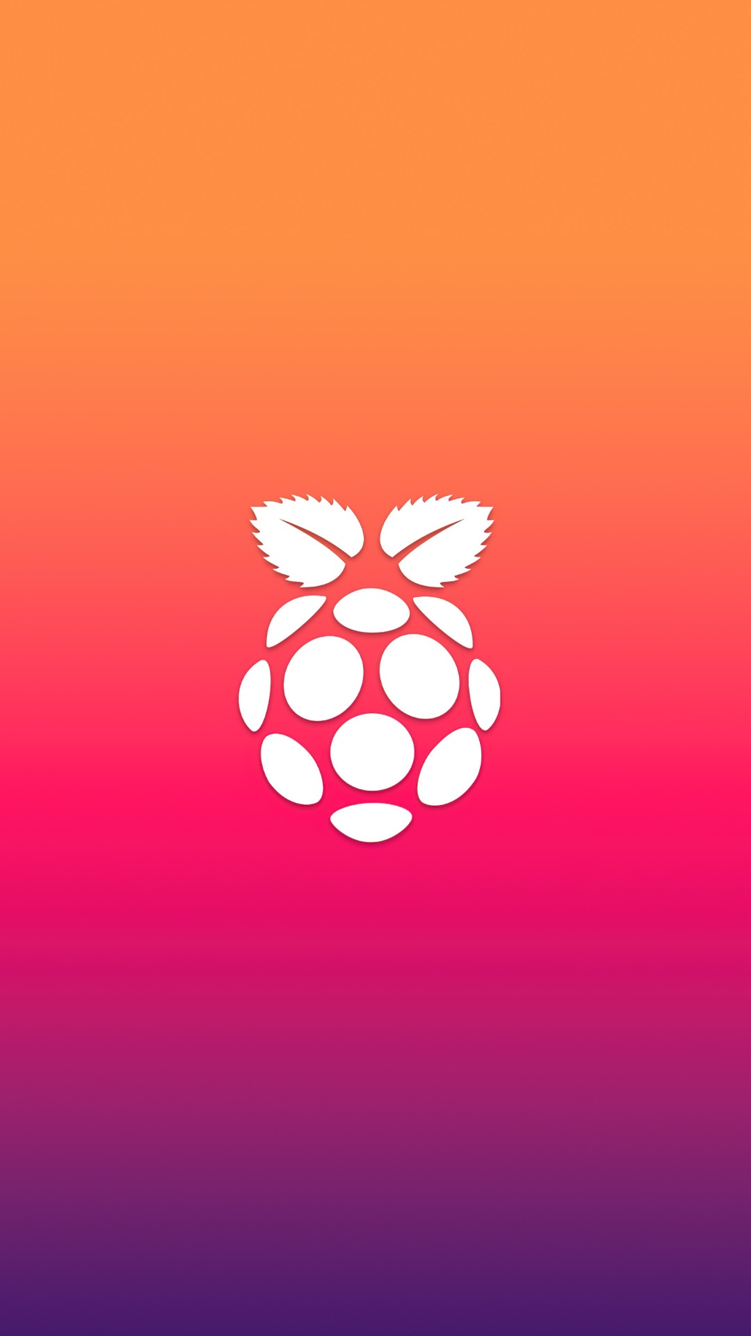 Raspberry Pi logo on a gradient background HD Phone Wallpaper