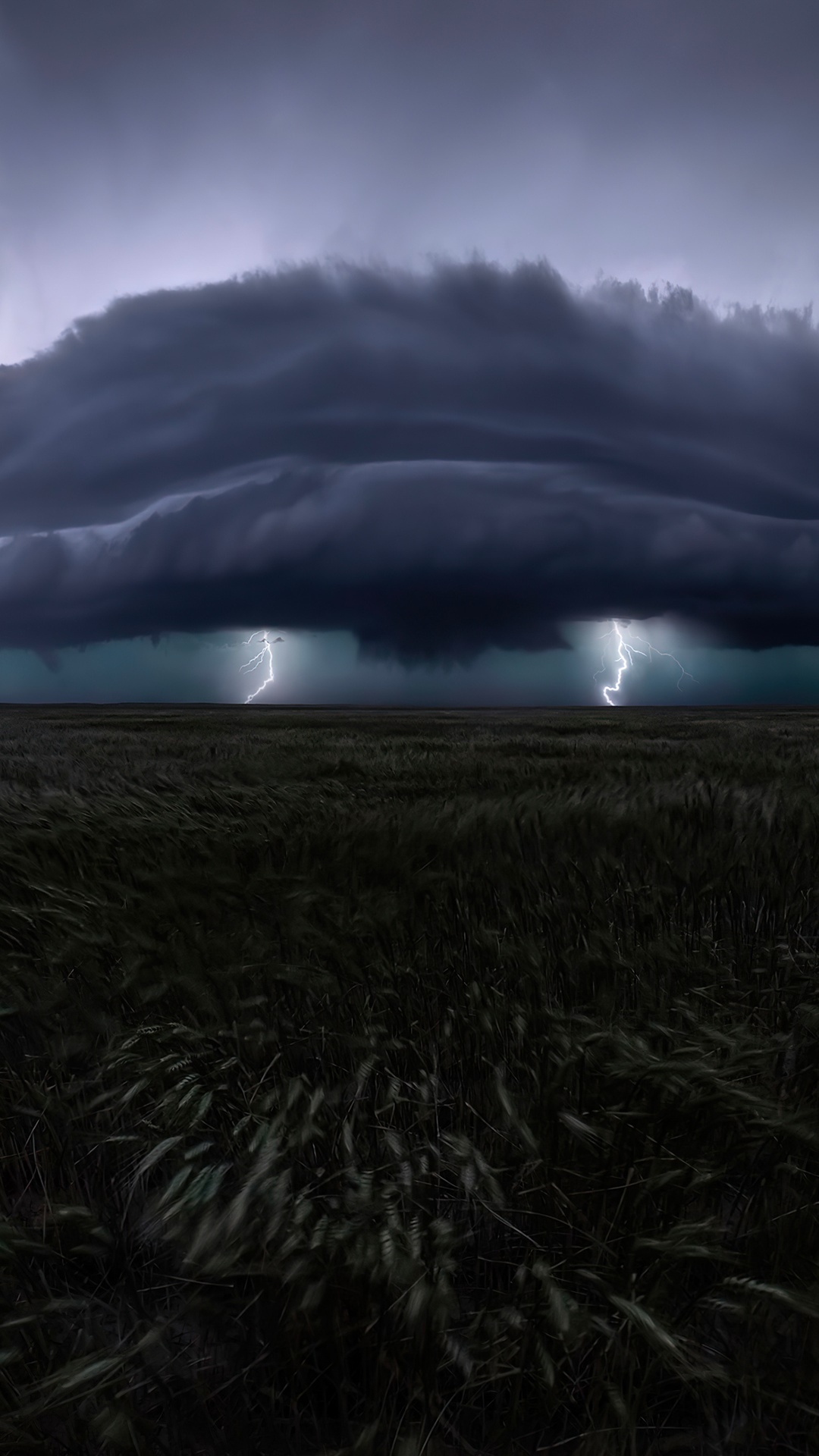 Lightning strikes over a dark field under storm clouds HD Phone Wallpaper