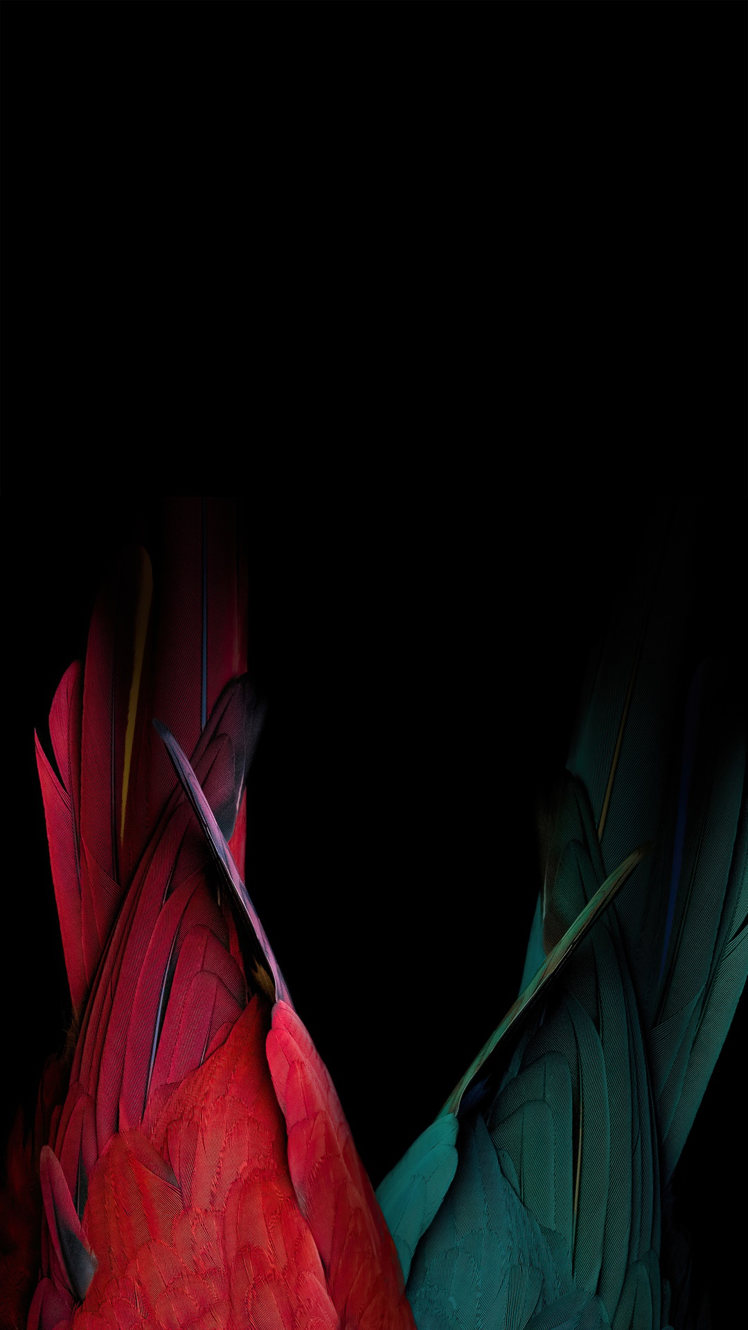 Abstract close-up of red and green parrot feathers on black background HD Phone Wallpaper