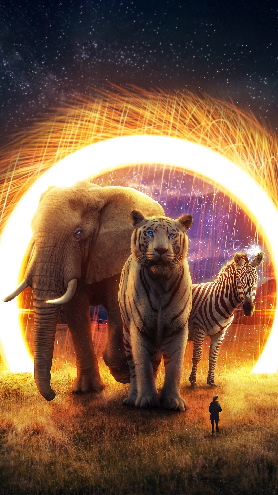 Elephant, Tiger, and Zebra in a Fiery Portal HD Phone Wallpaper