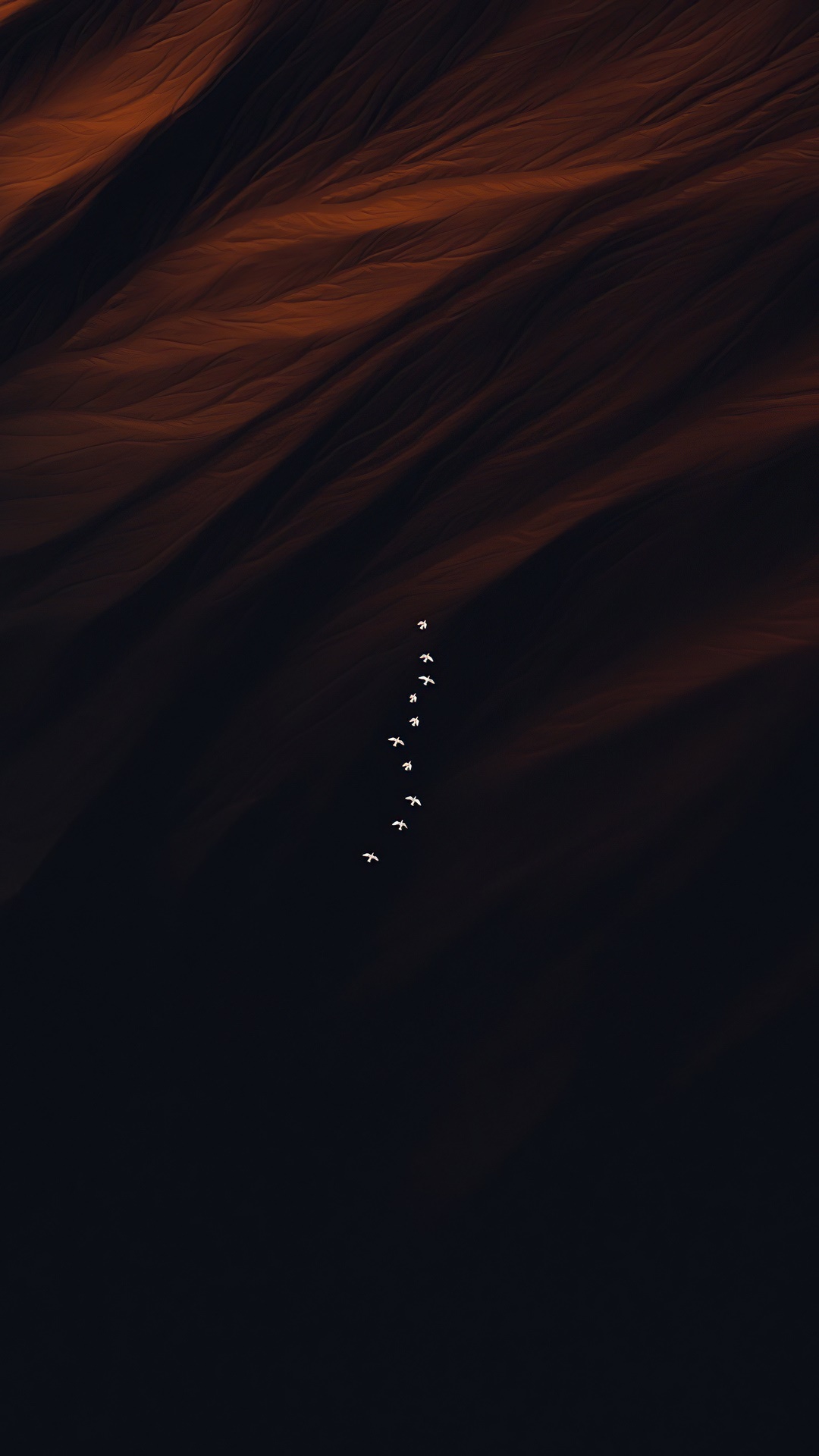 Birds flying in formation over dark landscape HD Phone Wallpaper