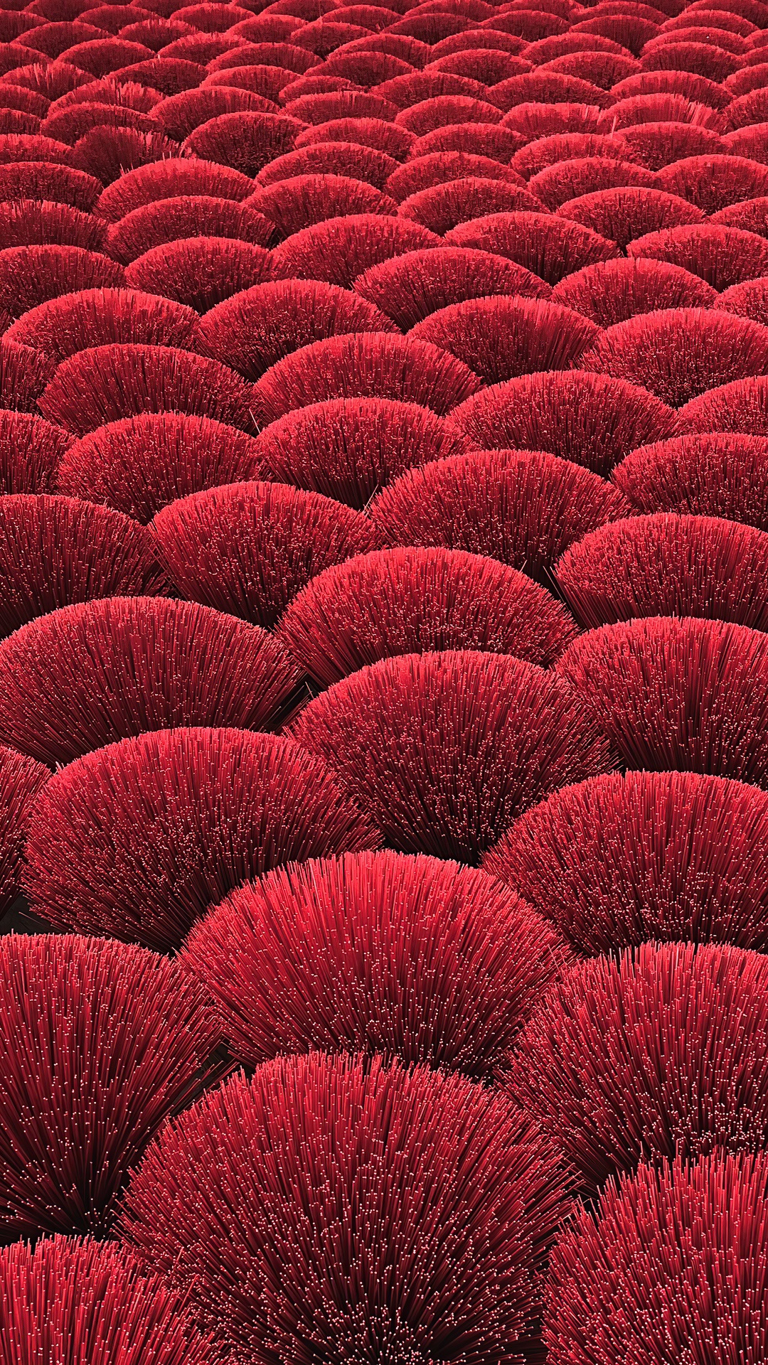 Red incense sticks arranged in a field HD Phone Wallpaper