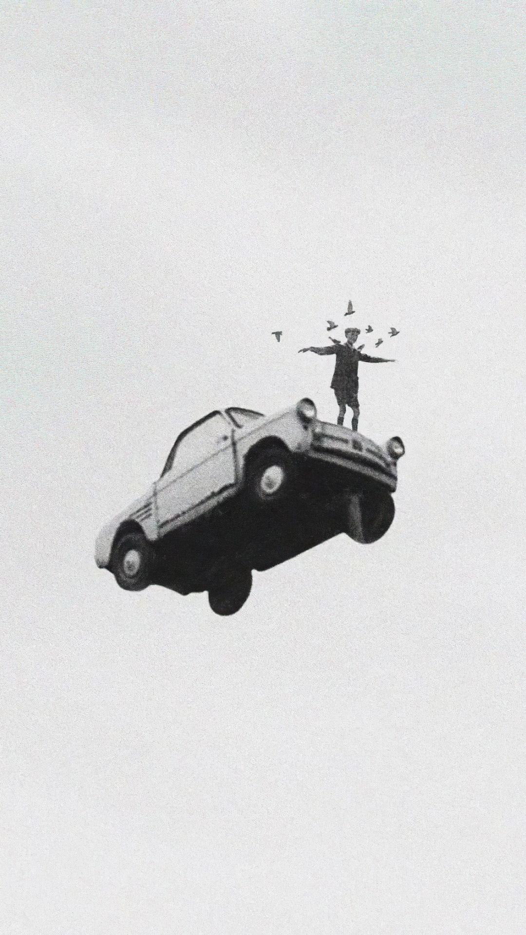 Man standing on a car with birds flying around HD Phone Wallpaper