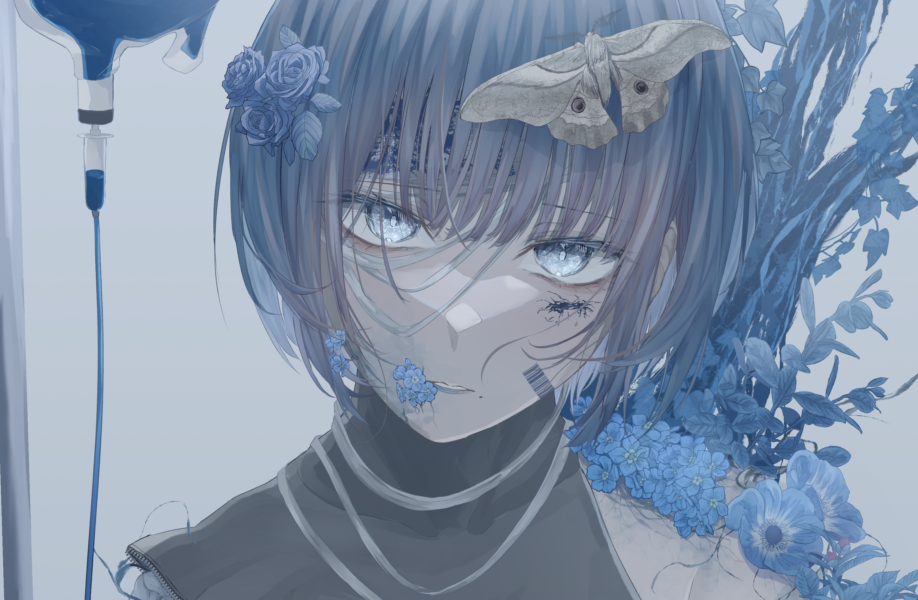 Anime girl with moth and blue flowers HD Wallpaper