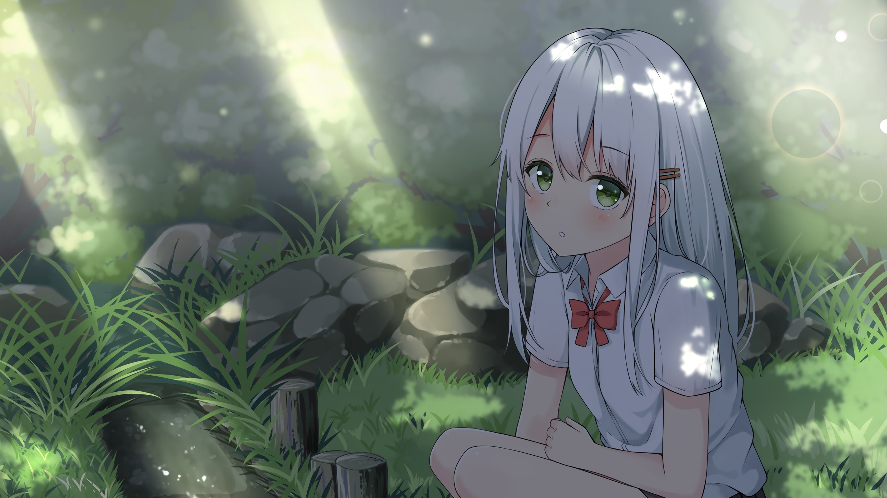 Girl in school uniform sitting in a forest HD Wallpaper