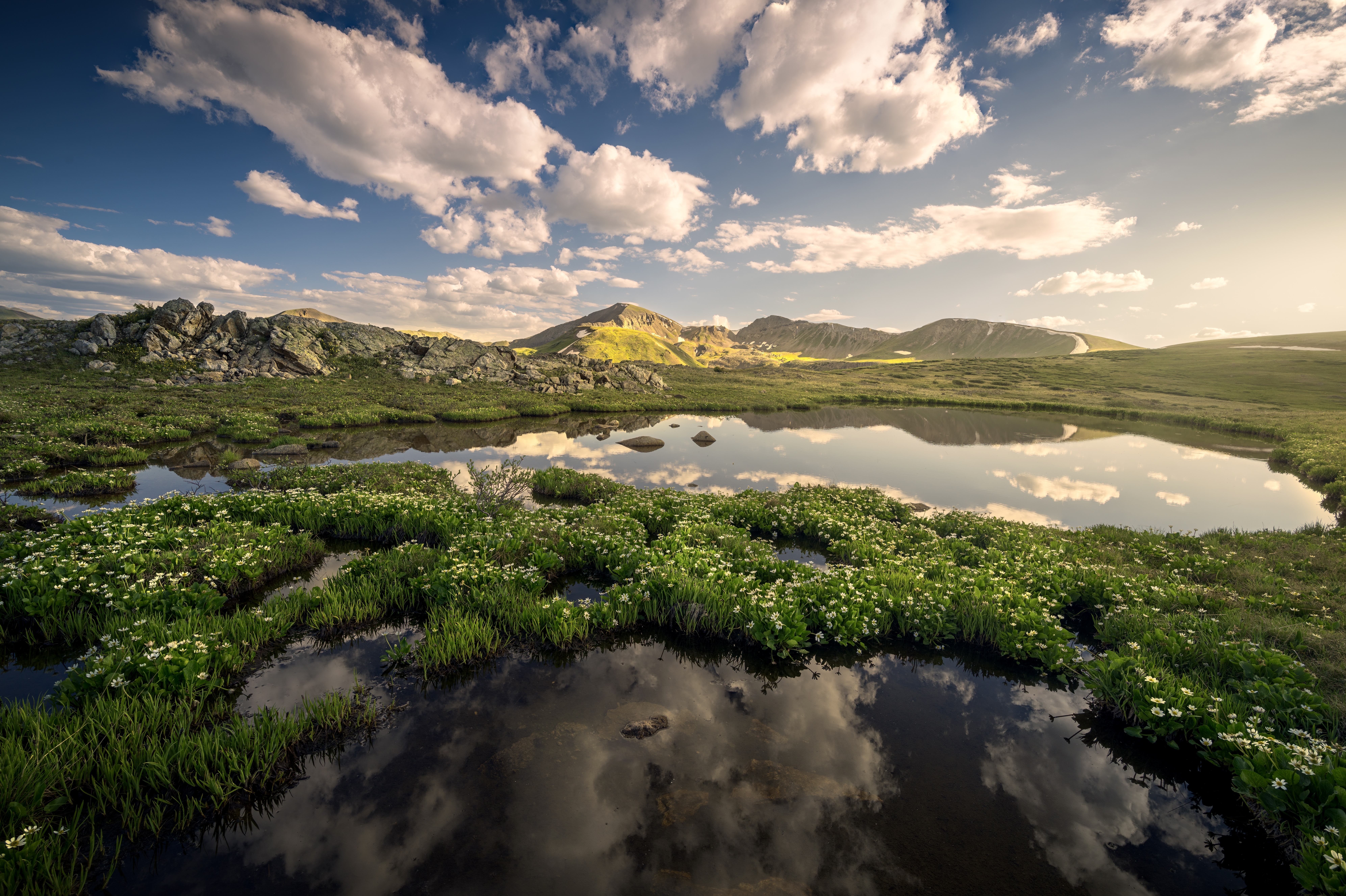 4K Colorado mountain landscape with lake and flowers HD Wallpaper