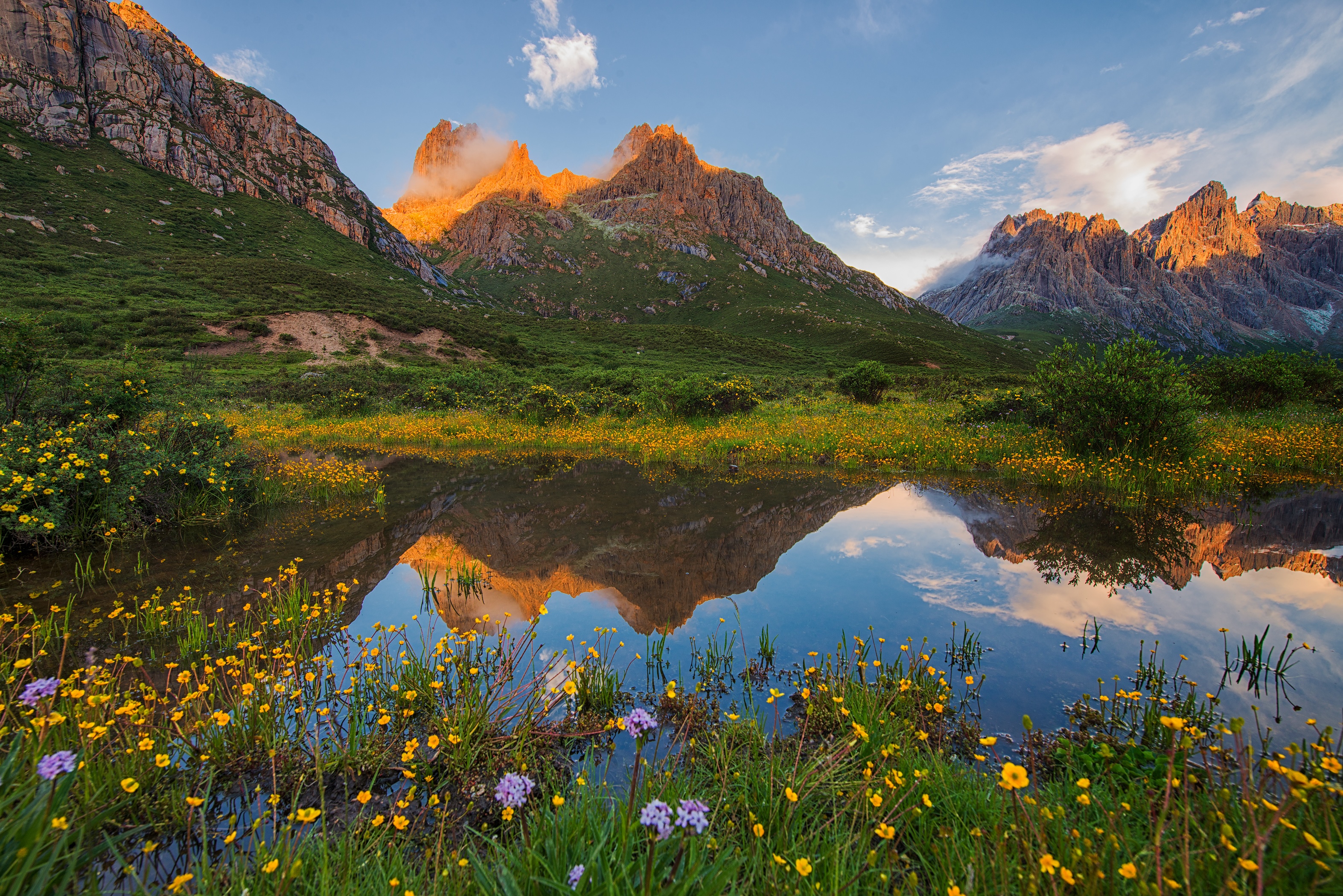 Nianbaoyuze National Park mountains reflected in a lake with flowers HD Wallpaper