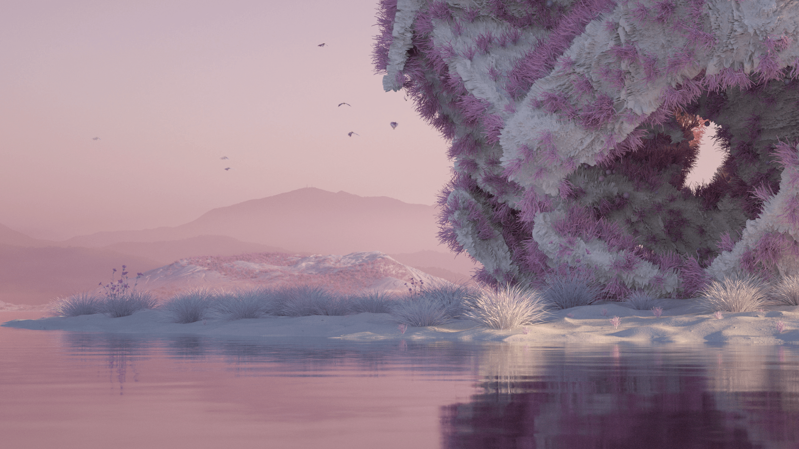 3D abstract landscape with pink and white flora and water reflection HD Wallpaper