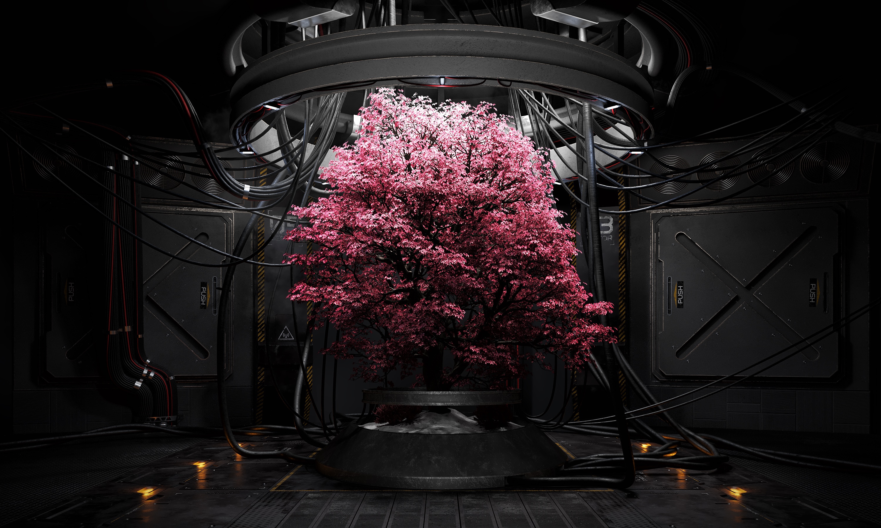 A pink cherry blossom tree in a futuristic laboratory HD Wallpaper