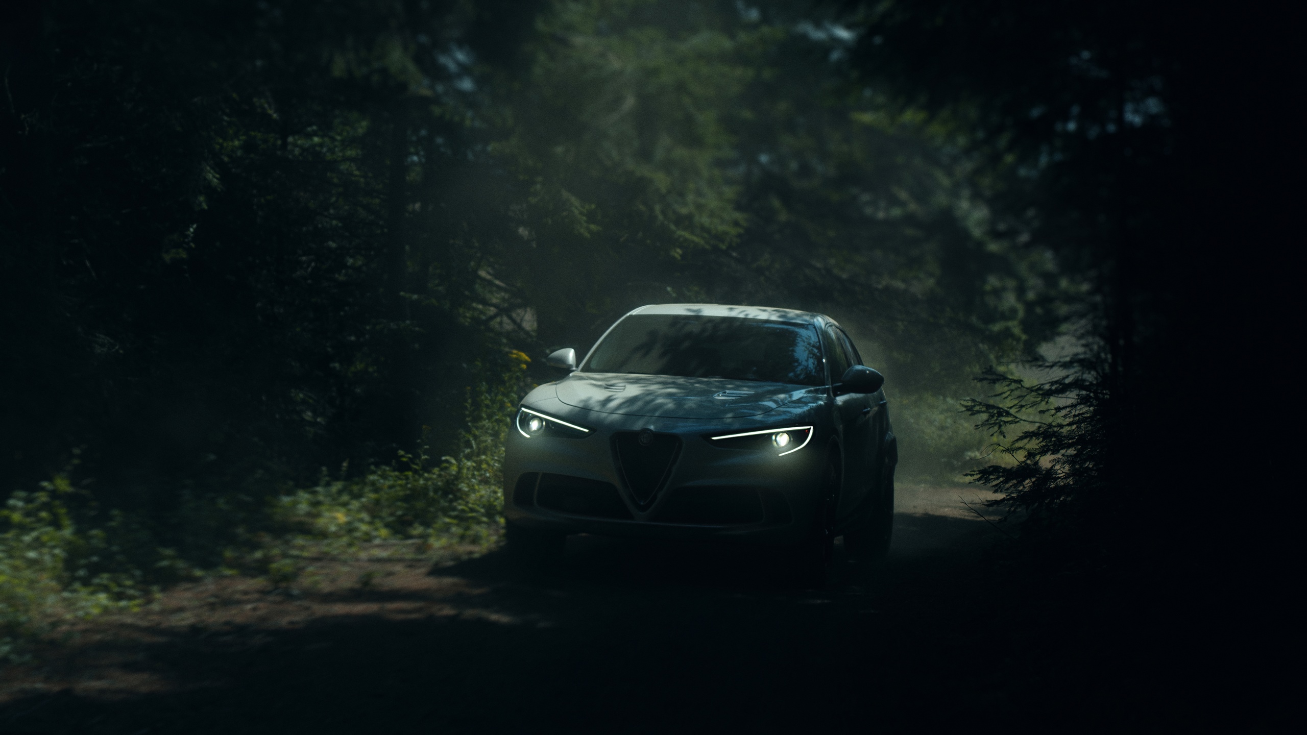 Alfa Romeo Stelvio driving through a dark forest HD Wallpaper