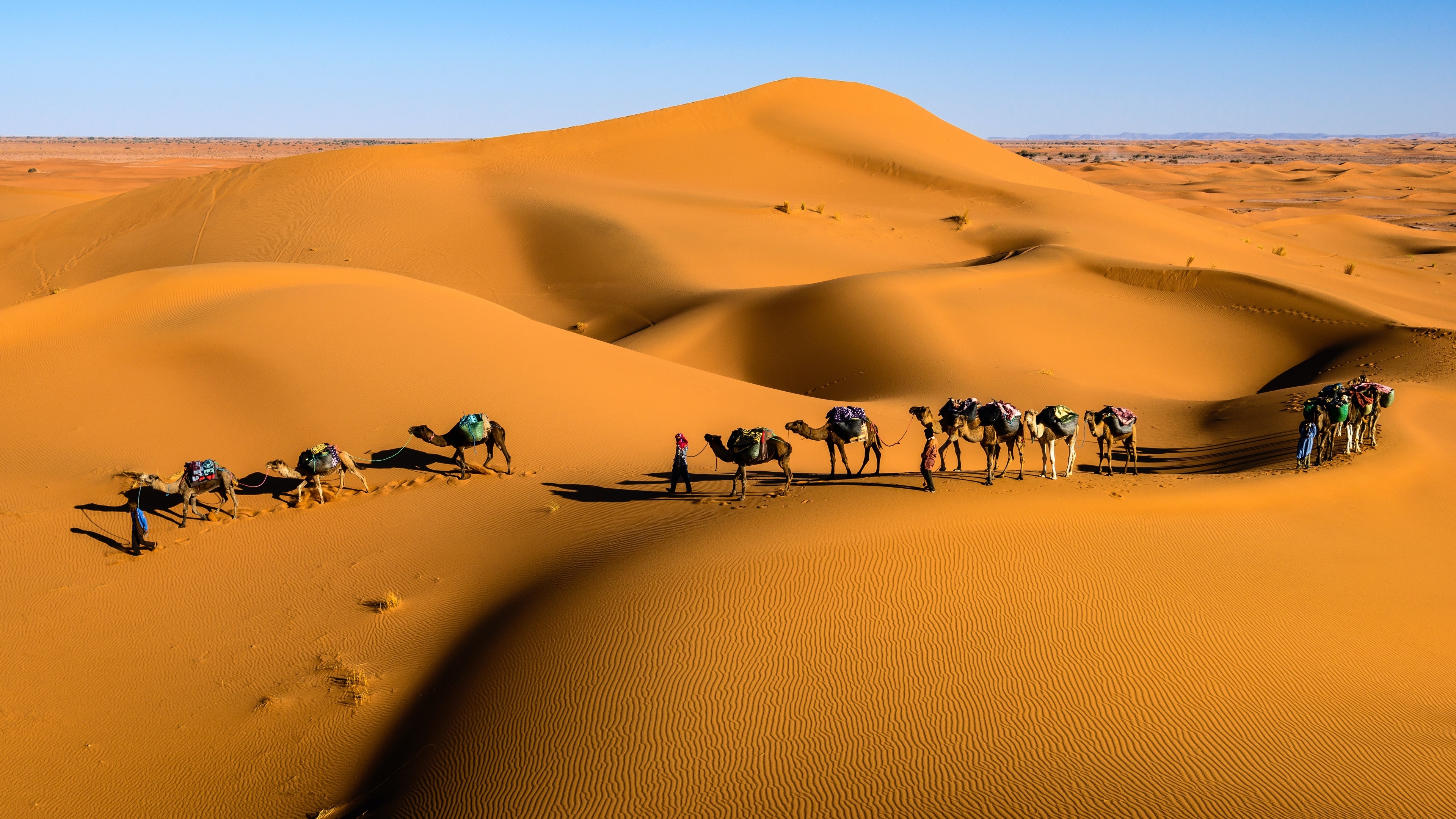 Camels and people walking through desert dunes HD Wallpaper