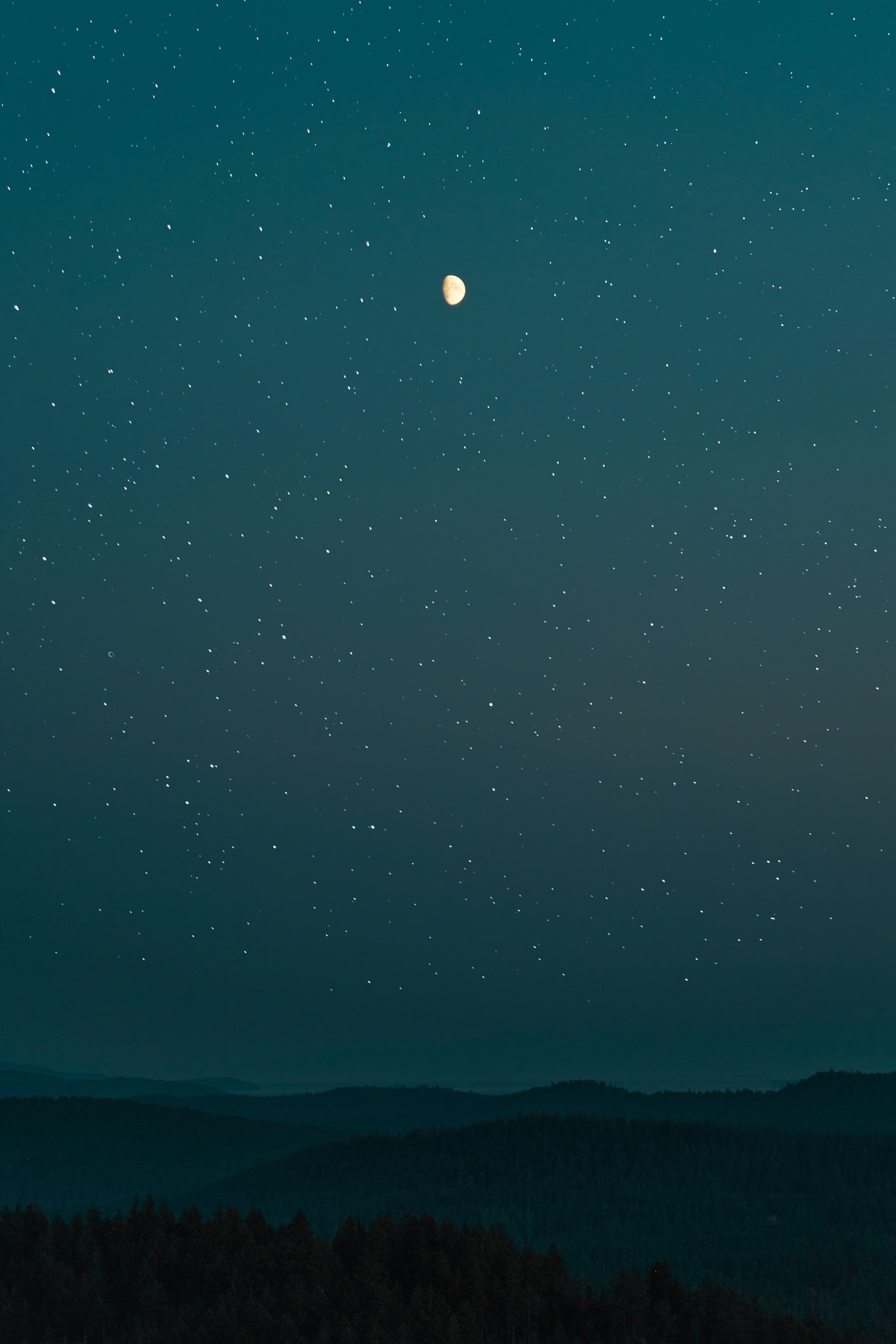 Moonlit night sky over a dark forest landscape HD Phone Wallpaper