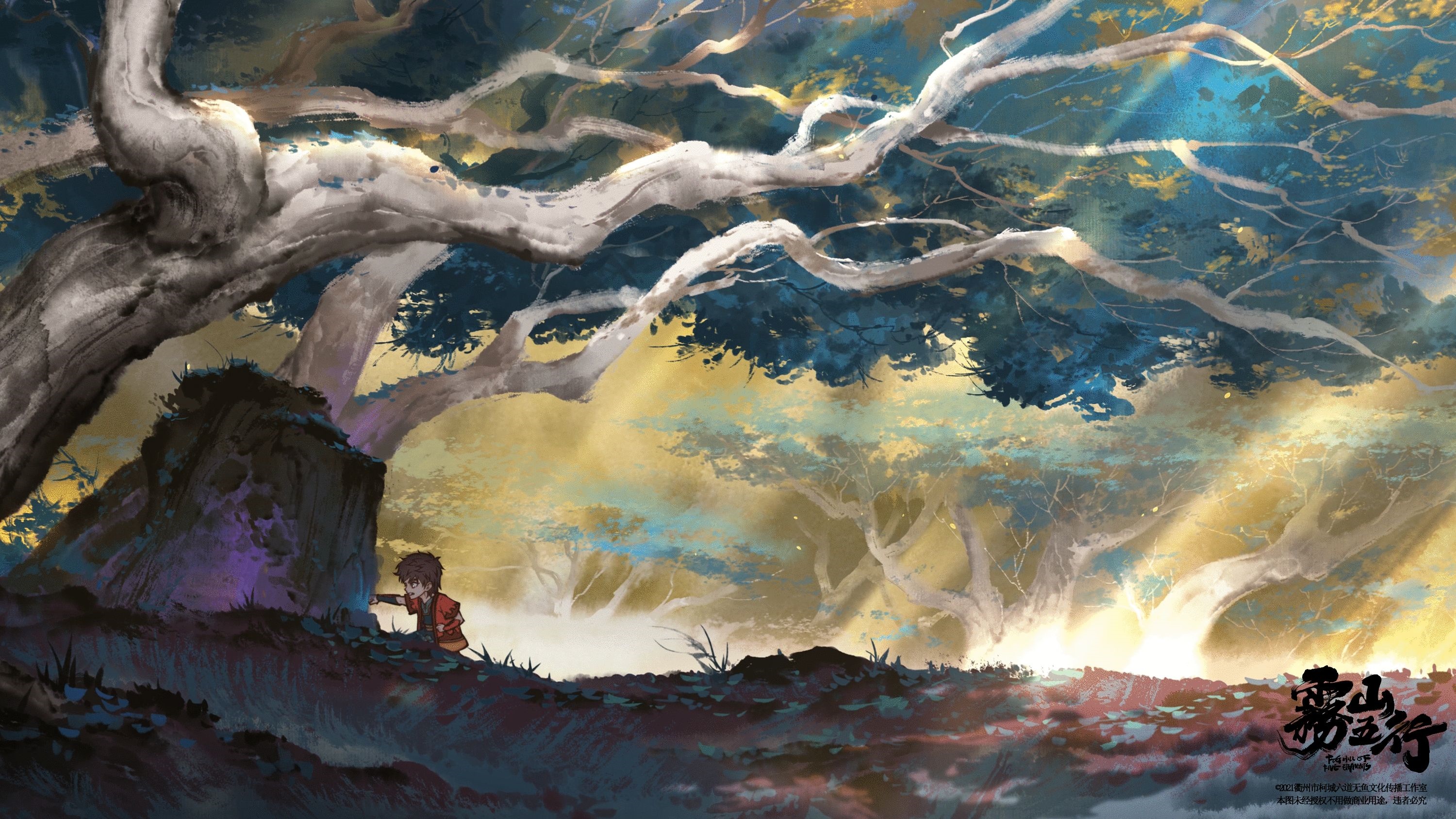 Anime boy in a mystical forest with sunlight HD Wallpaper