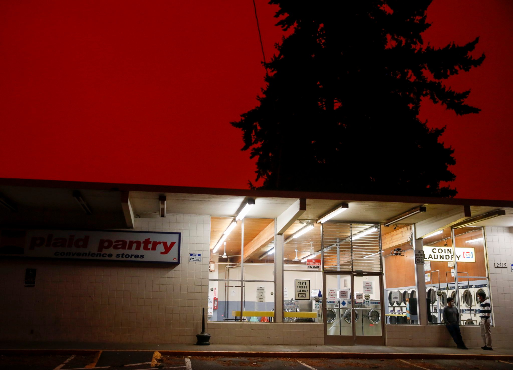 Plaid Pantry convenience store and coin laundry at night HD Wallpaper