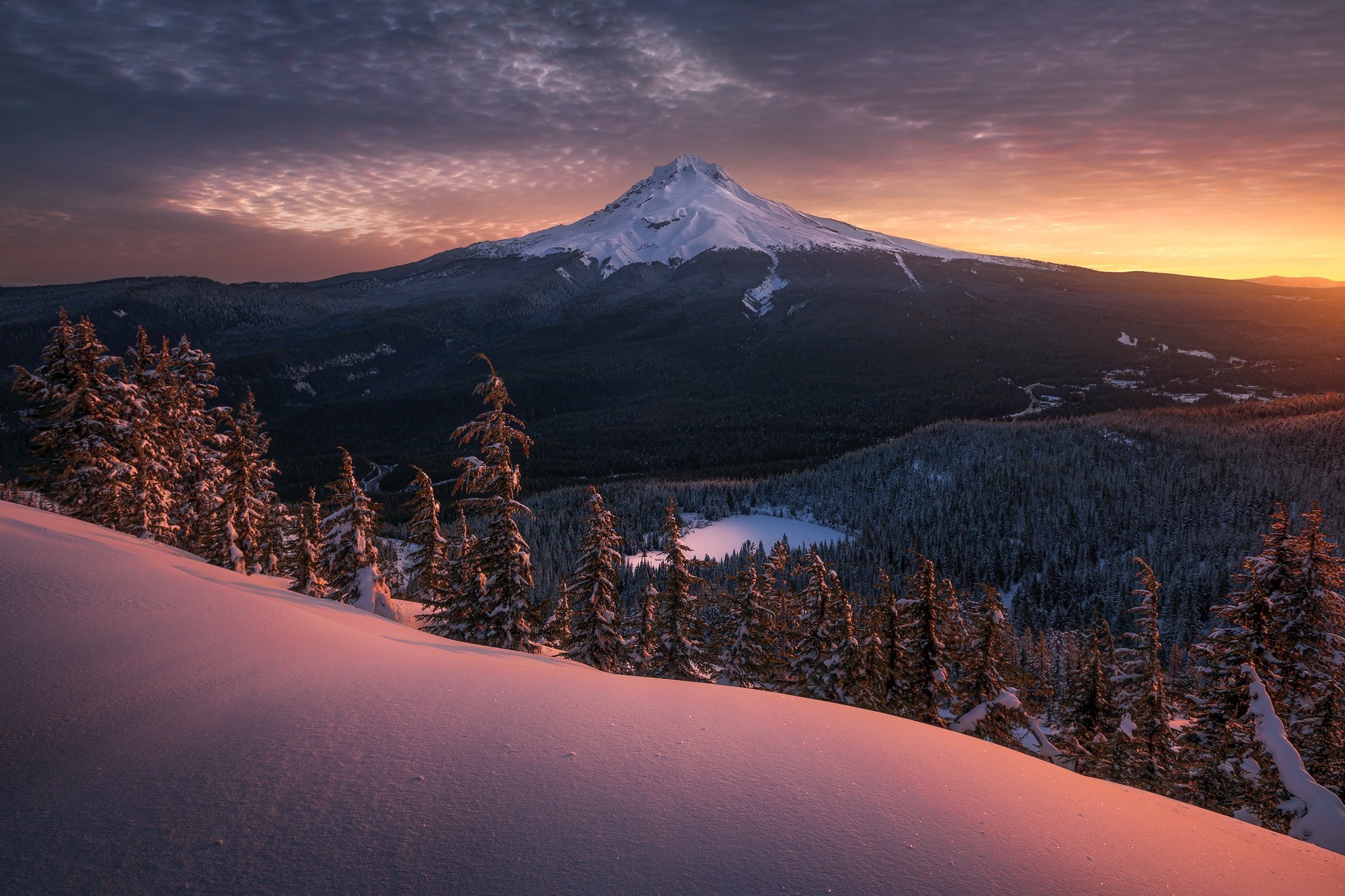 Mount Hood at sunset with snow-covered trees HD Wallpaper