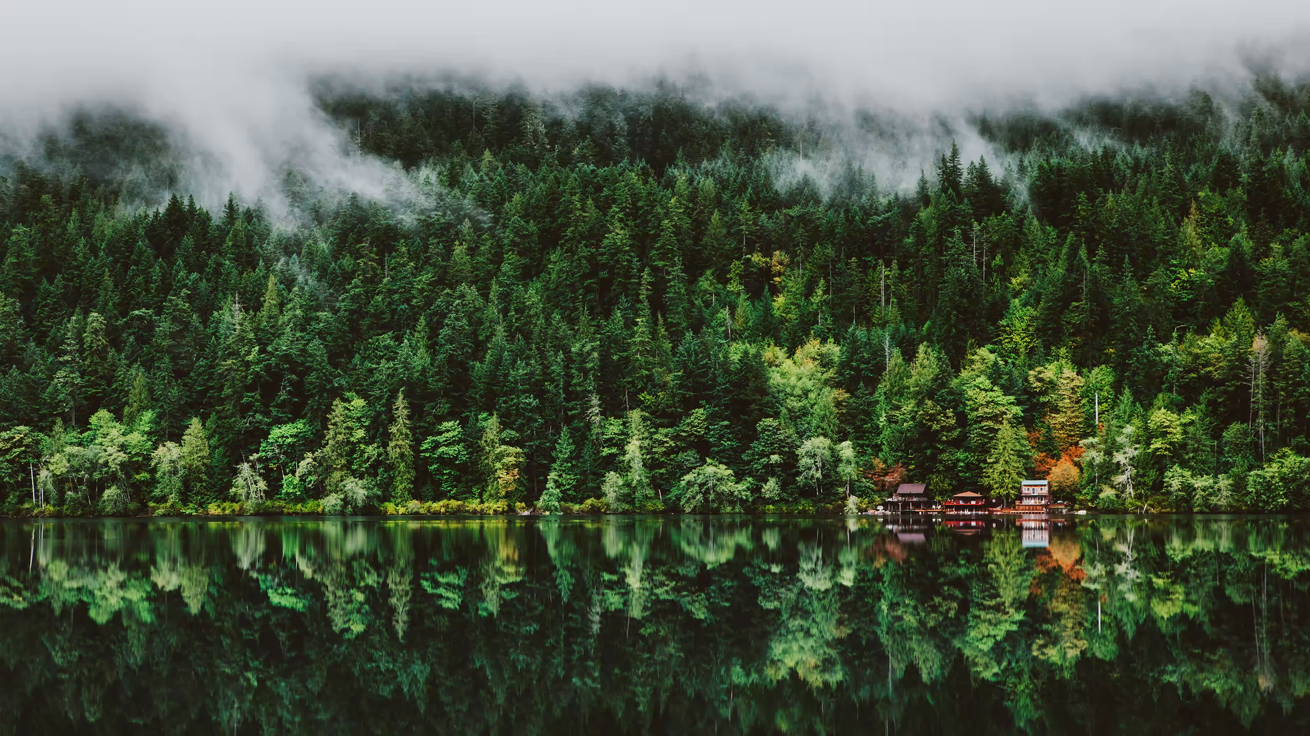 Cabin by a misty forest reflected in a lake HD Wallpaper