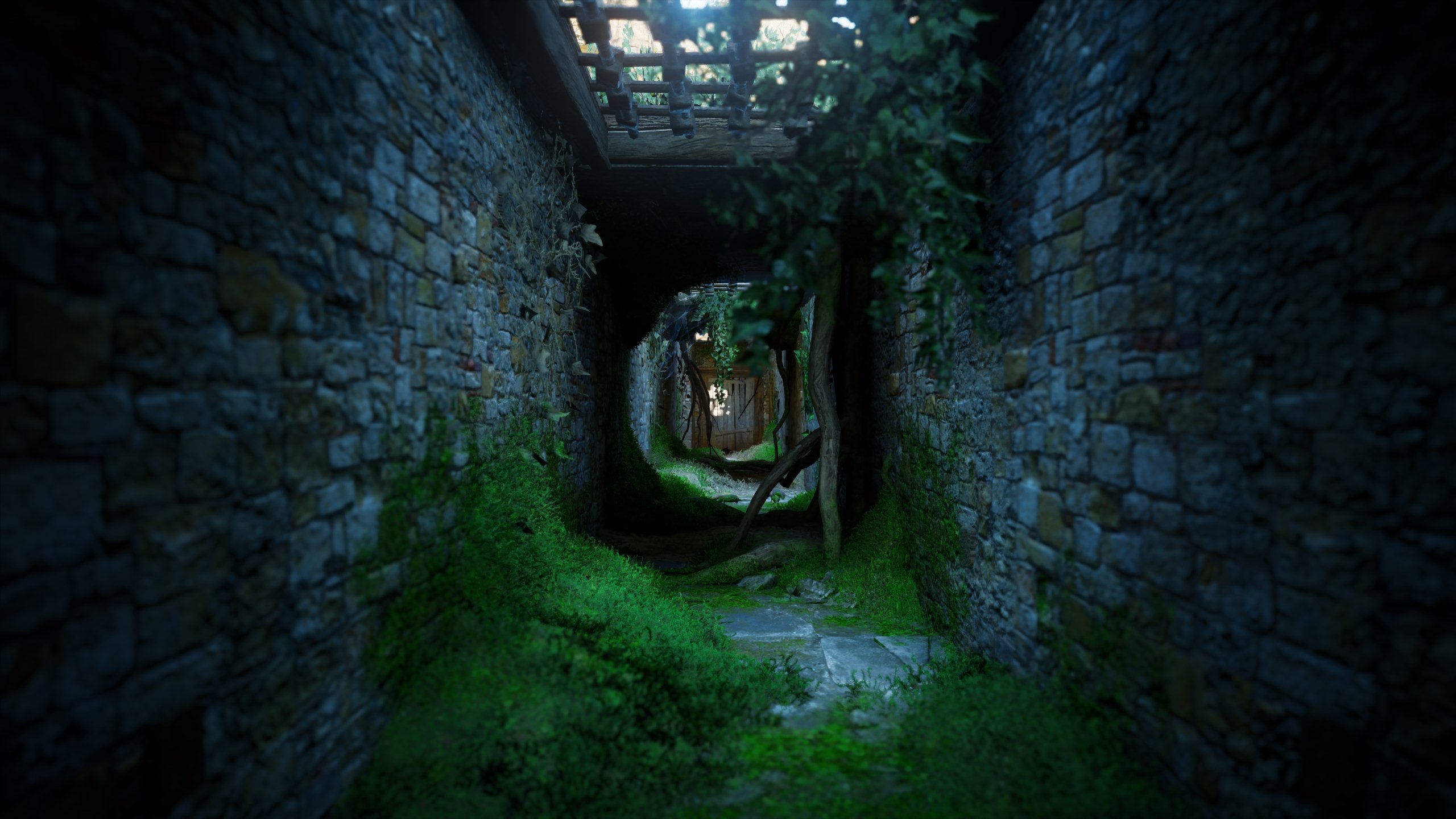 Assassin's Creed pathway with sunlight and leaves HD Wallpaper