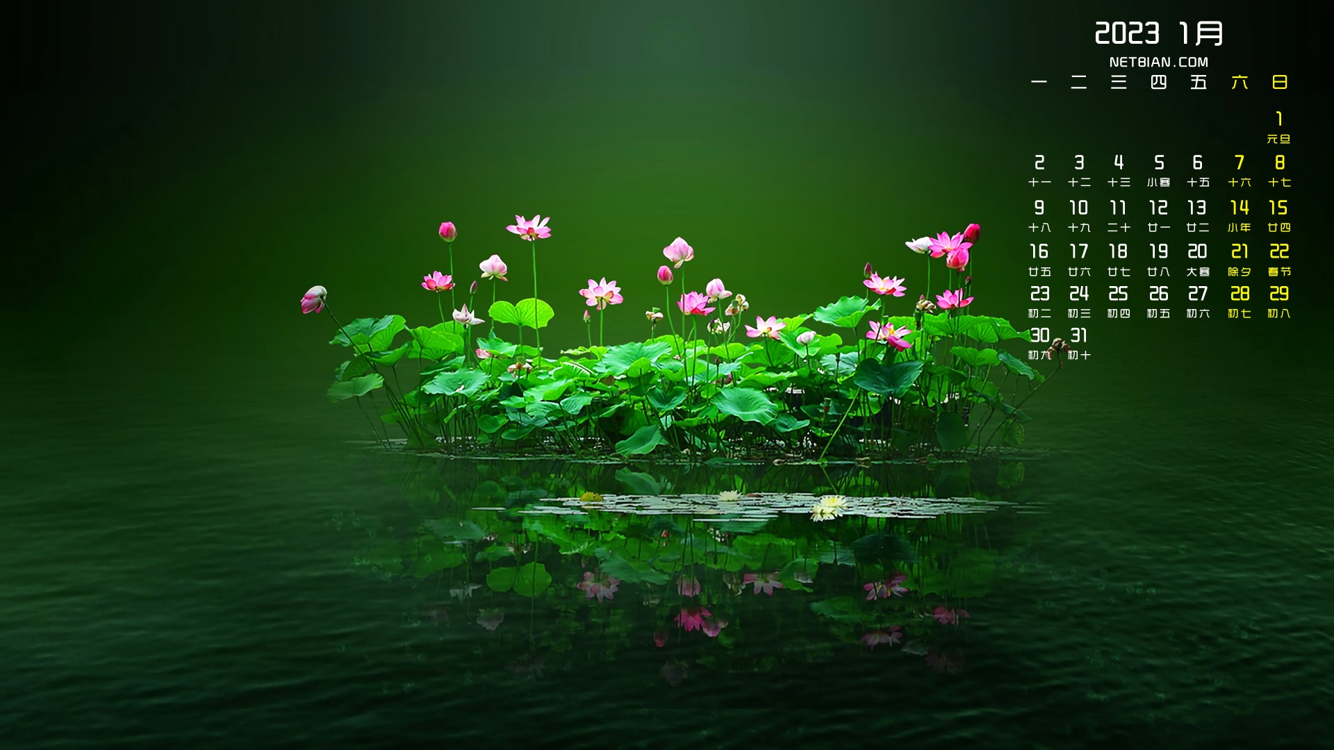 2023 January Calendar with Lotus Flowers HD Wallpaper