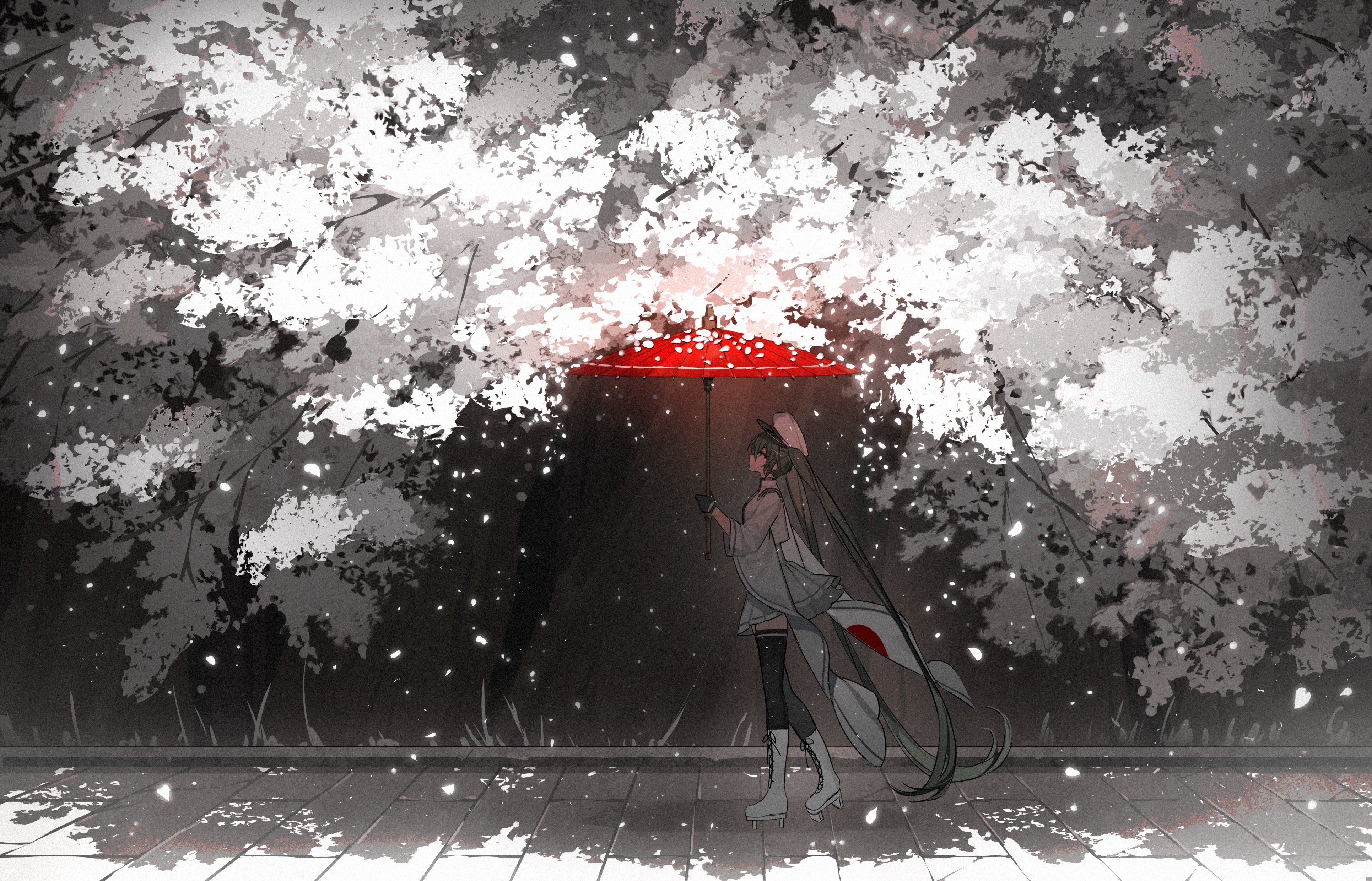Girl with Umbrella under Cherry Blossoms HD Wallpaper