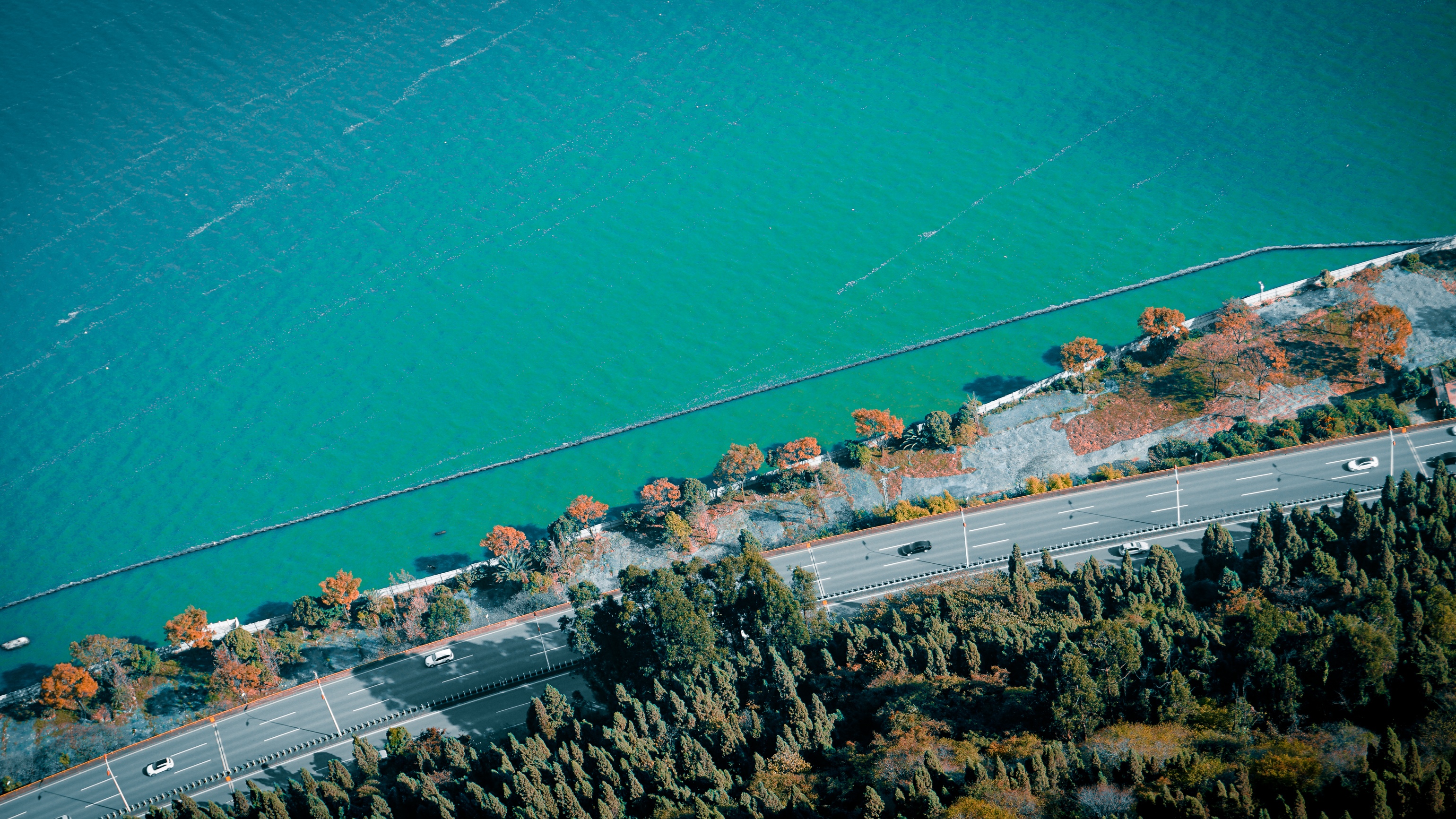 Aerial view of a road by the turquoise water and trees HD Wallpaper