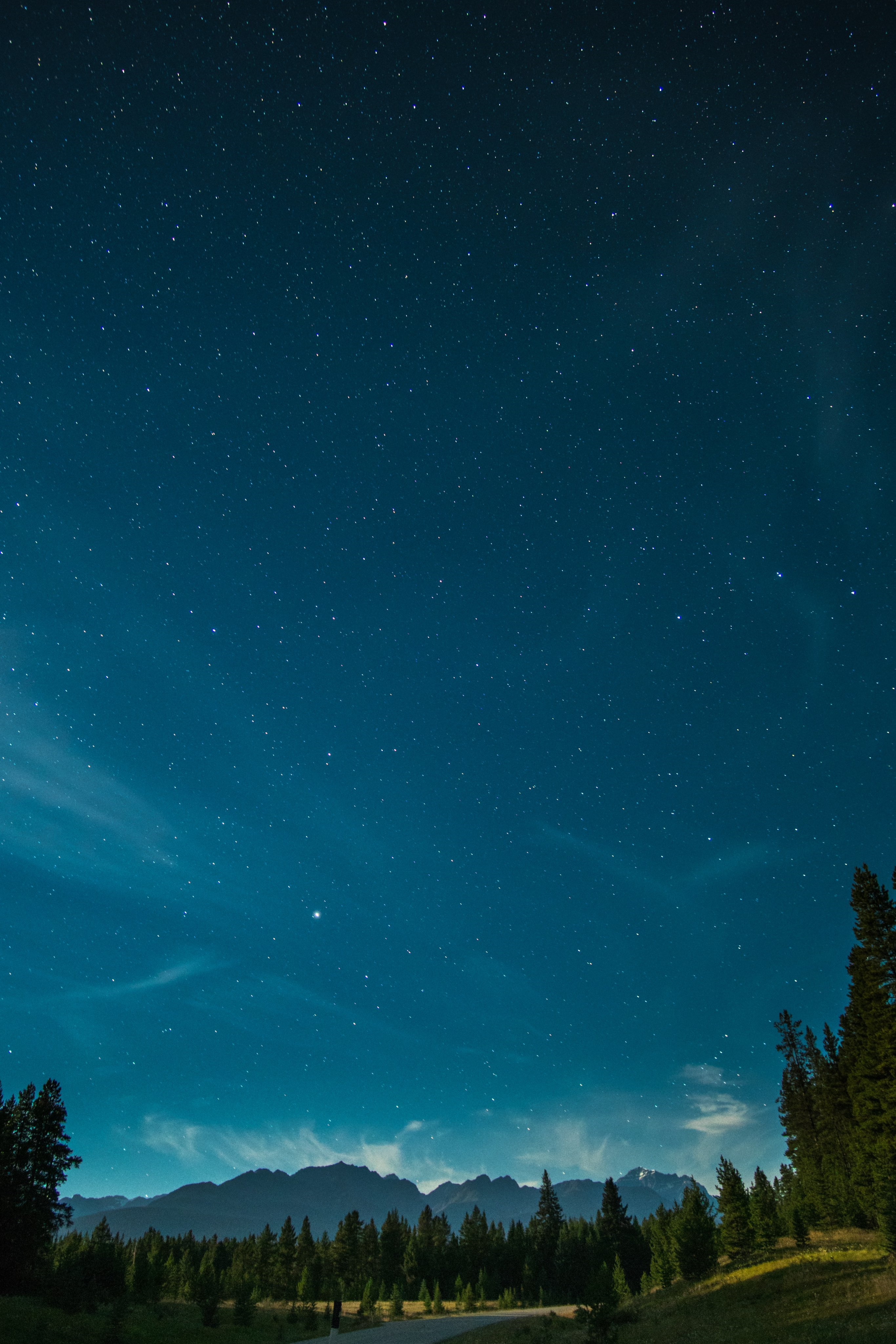 Starry night sky over mountains and pine forest HD Phone Wallpaper