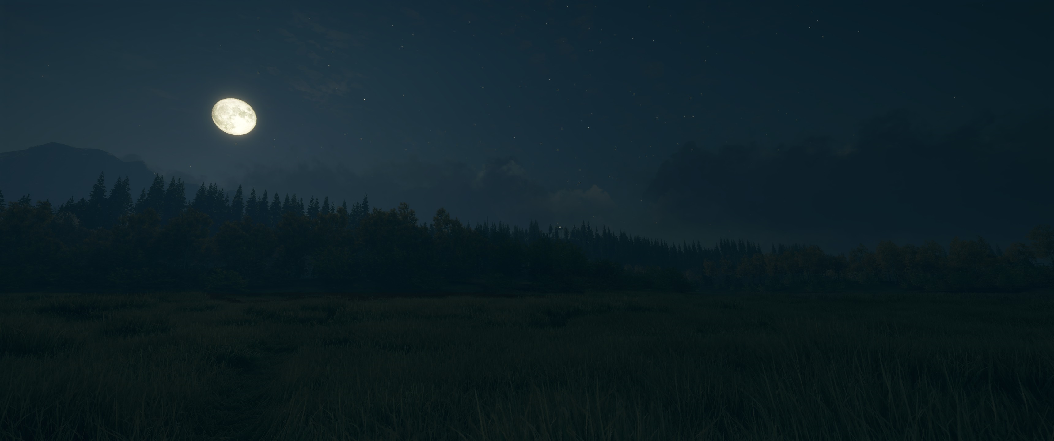Night landscape with moon over trees and grass HD Wallpaper