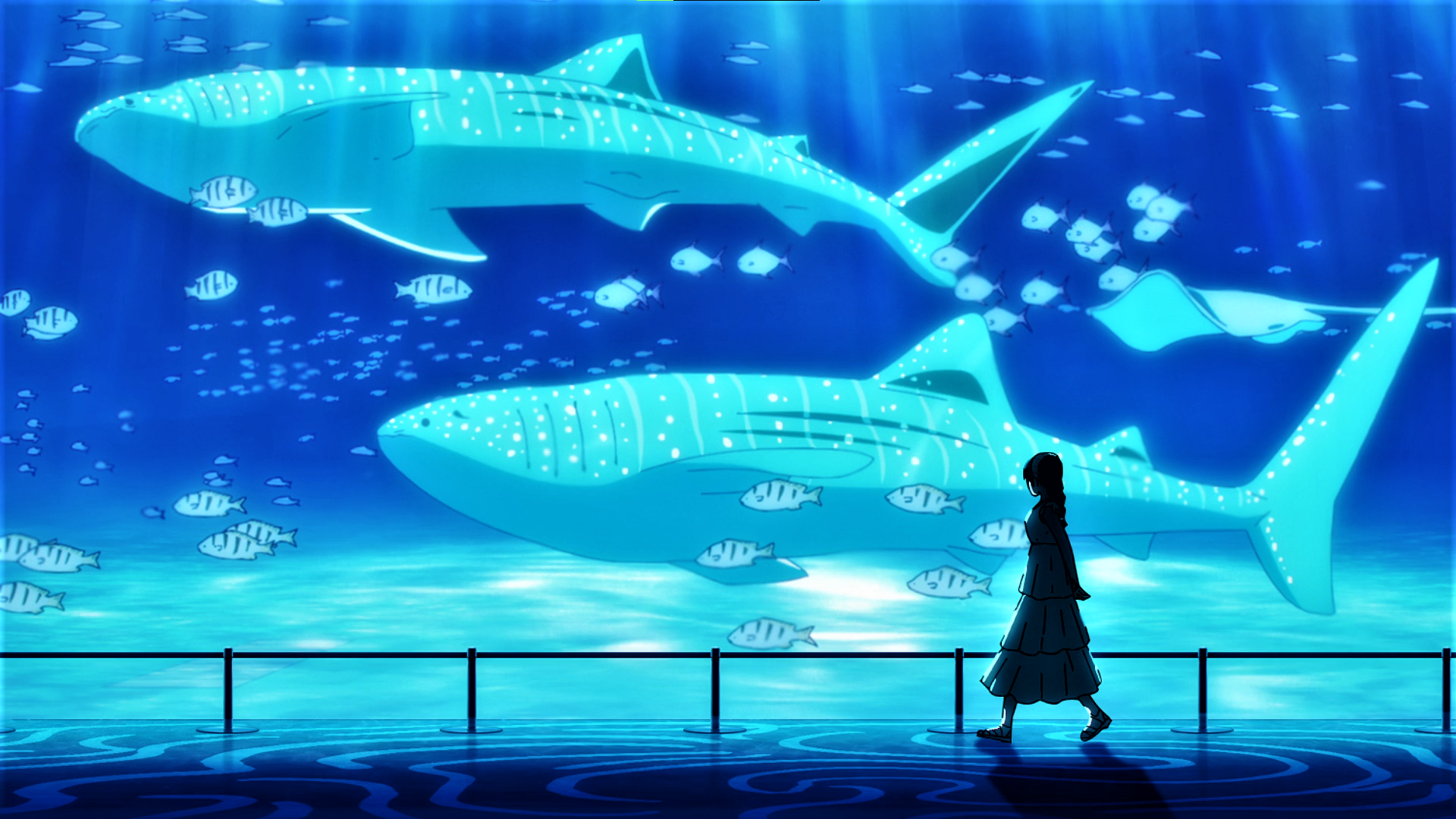 Jujutsu Kaisen: Whale sharks and a girl in an aquarium HD Wallpaper