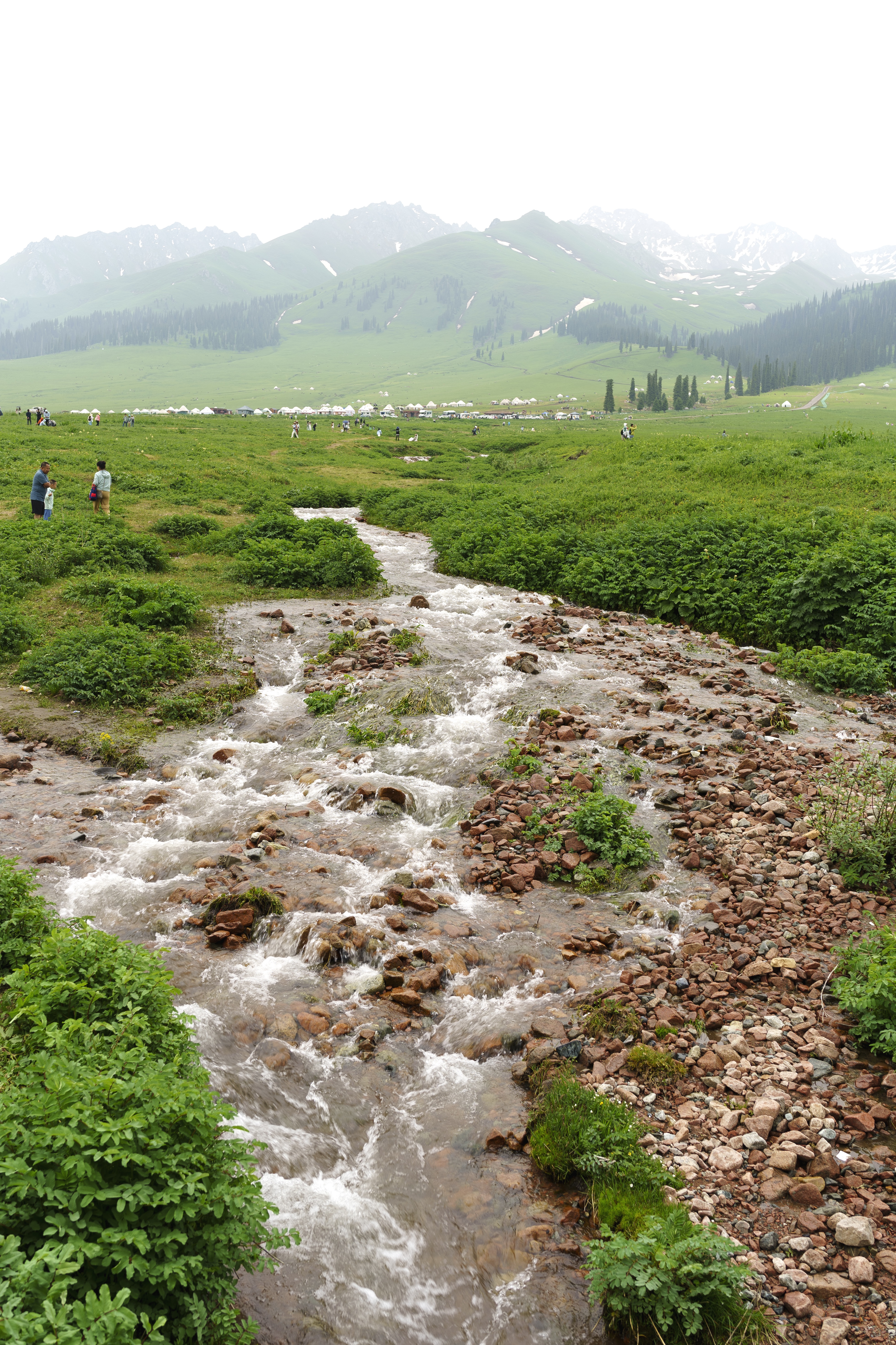 Xinjiang Grassland with Mountains and Creek HD Phone Wallpaper