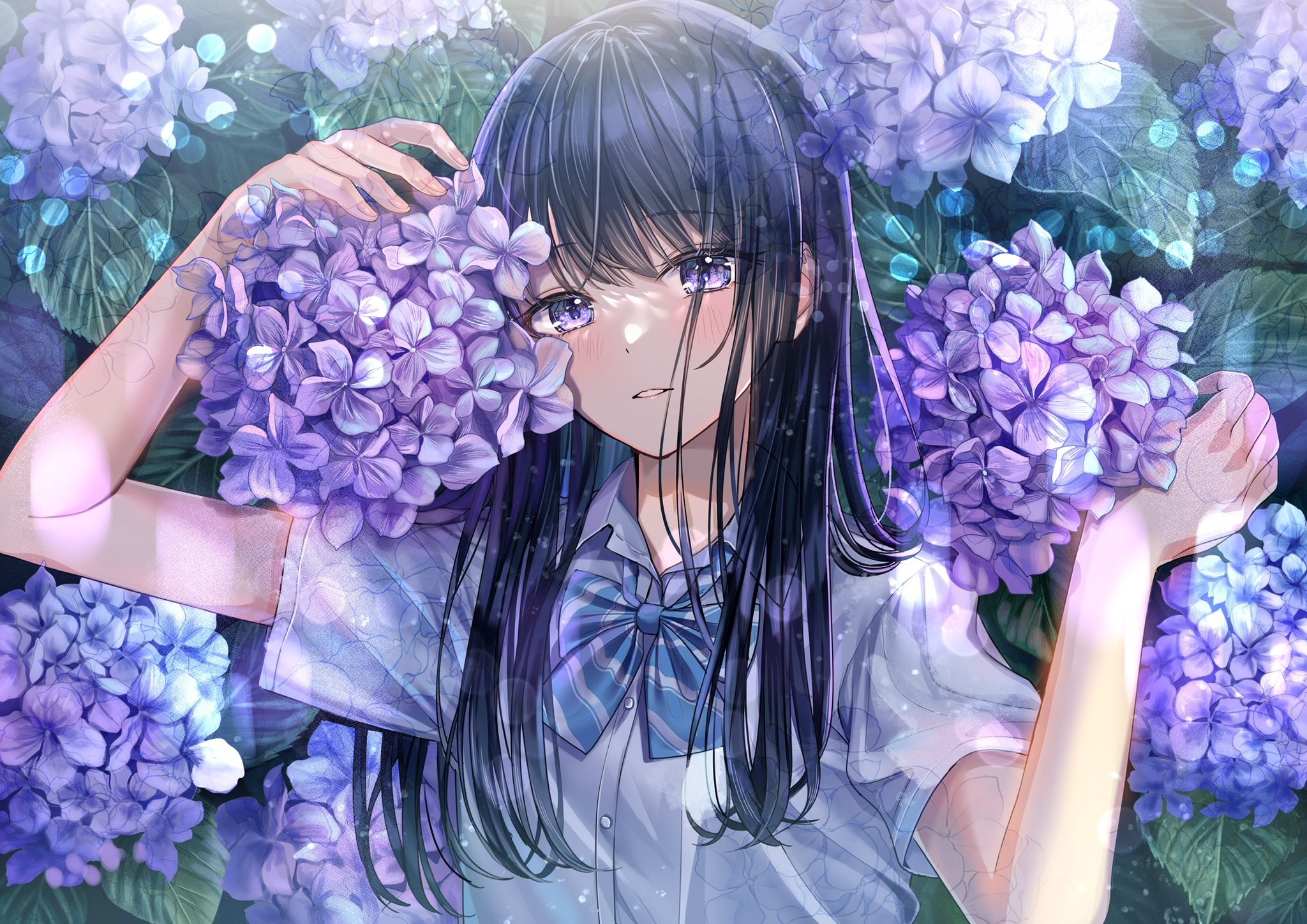 Schoolgirl with purple hydrangeas in sunlight HD Wallpaper