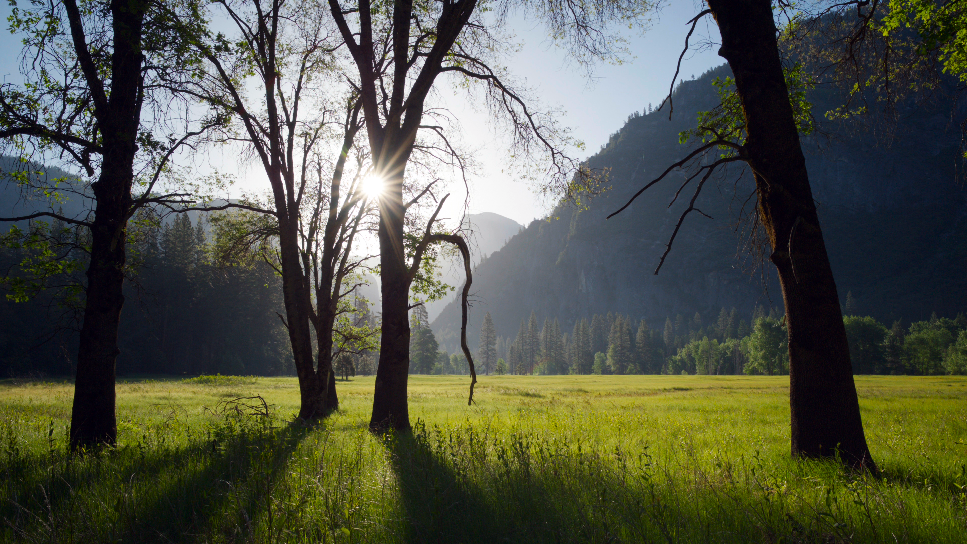 4K nature film stills from A Perfect Planet HD Wallpaper