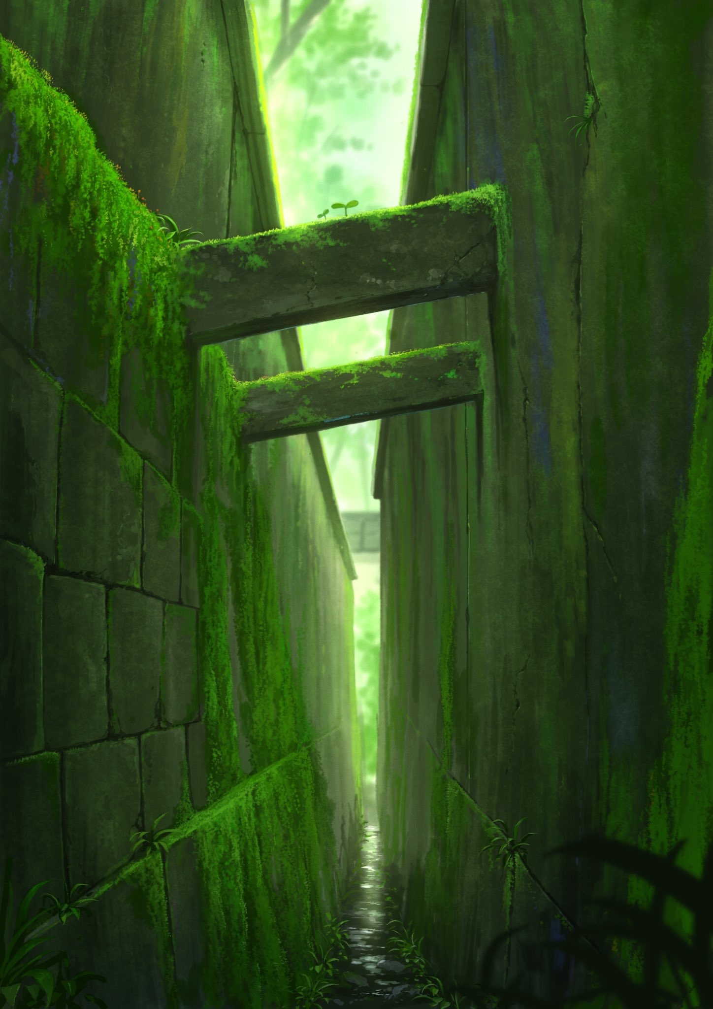 Moss-covered stone pathway with plants HD Phone Wallpaper