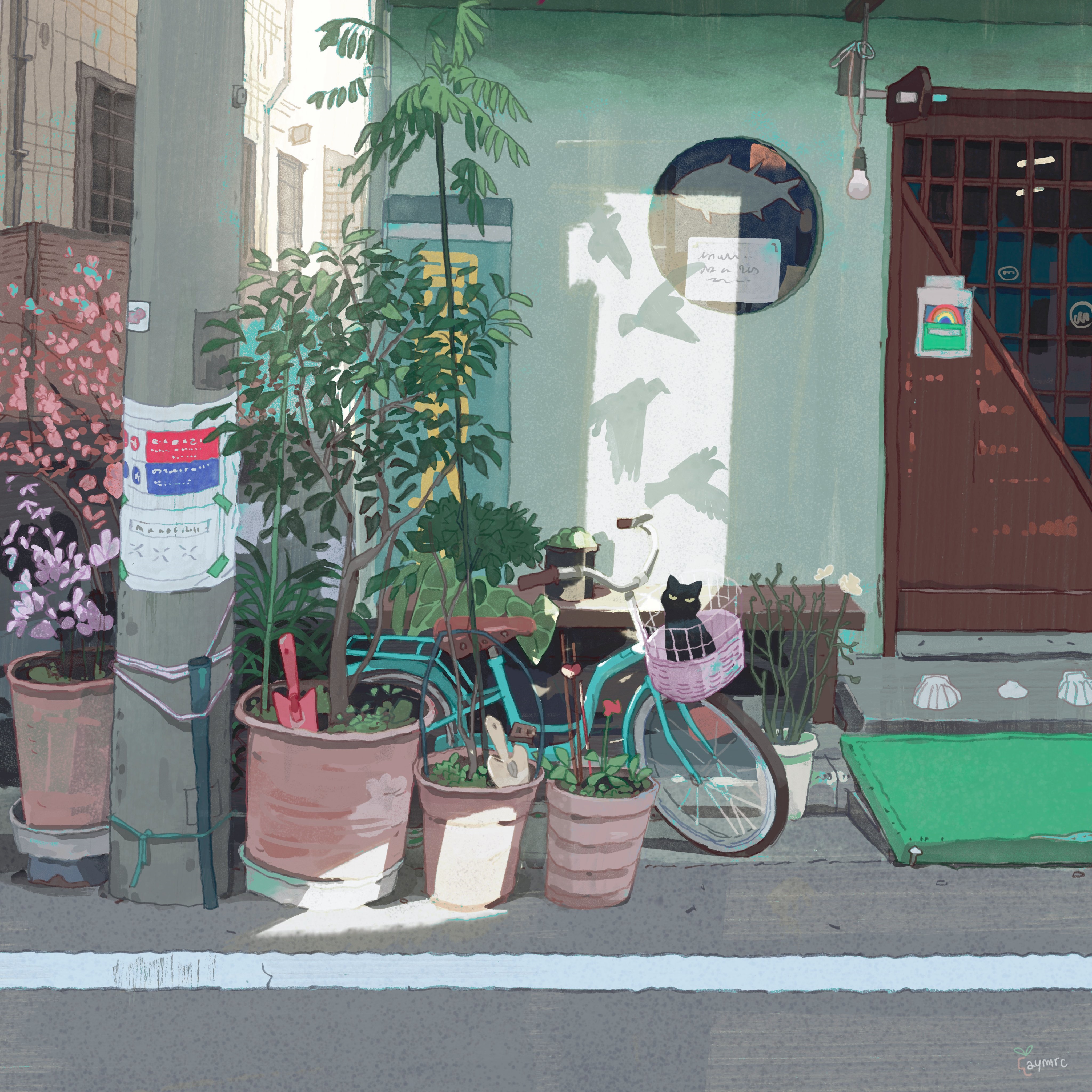 Black cat on a bicycle with plants HD Wallpaper