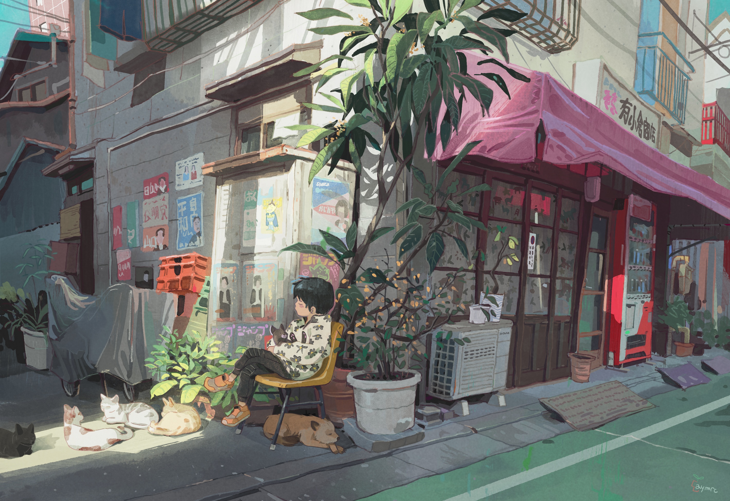 Boy and cats sitting on a street corner with plants HD Wallpaper
